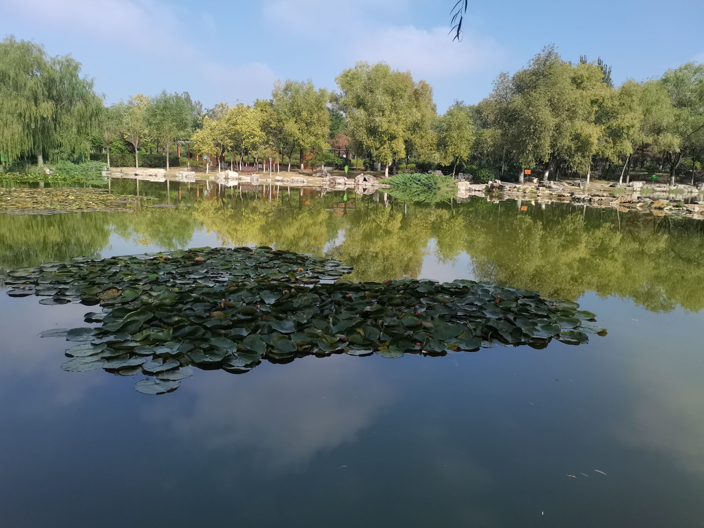 包头世界鹿园旅行图片 1