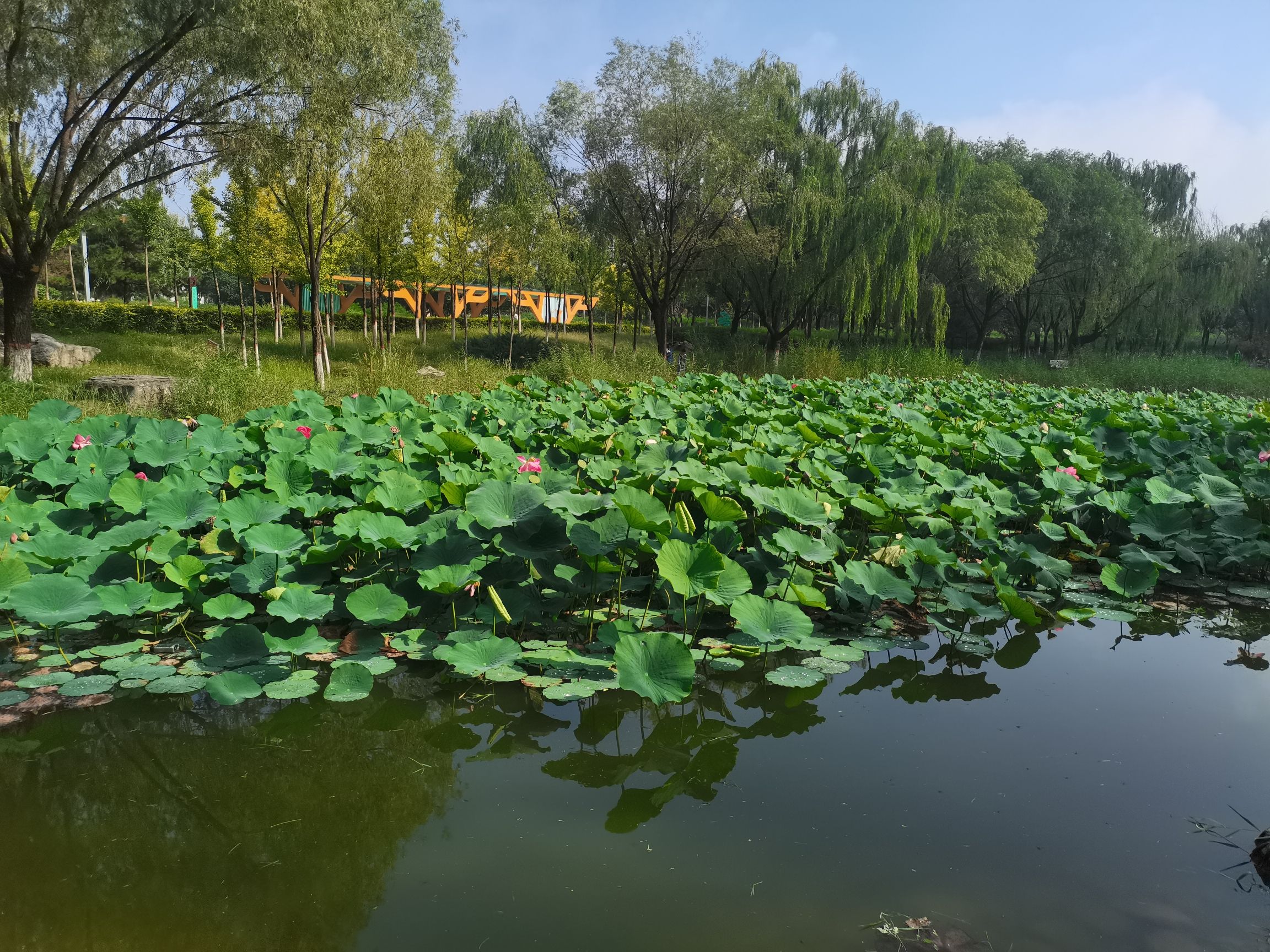 包头世界鹿园旅行图片 2