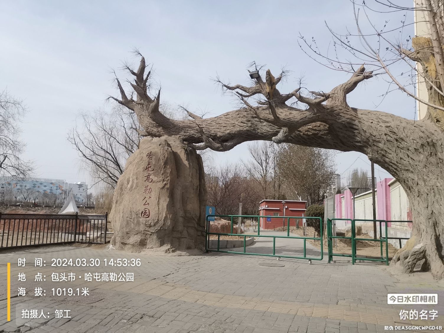 哈屯高勒公园旅行图片 1