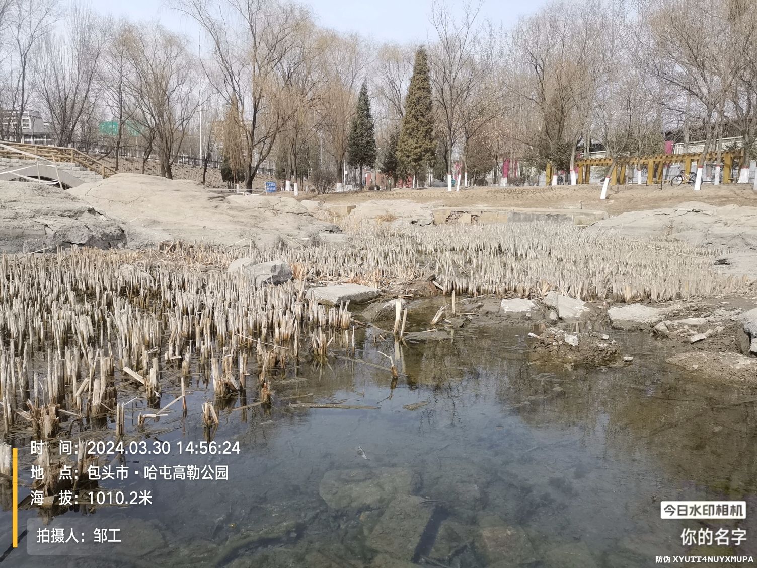 哈屯高勒公园旅行图片 2