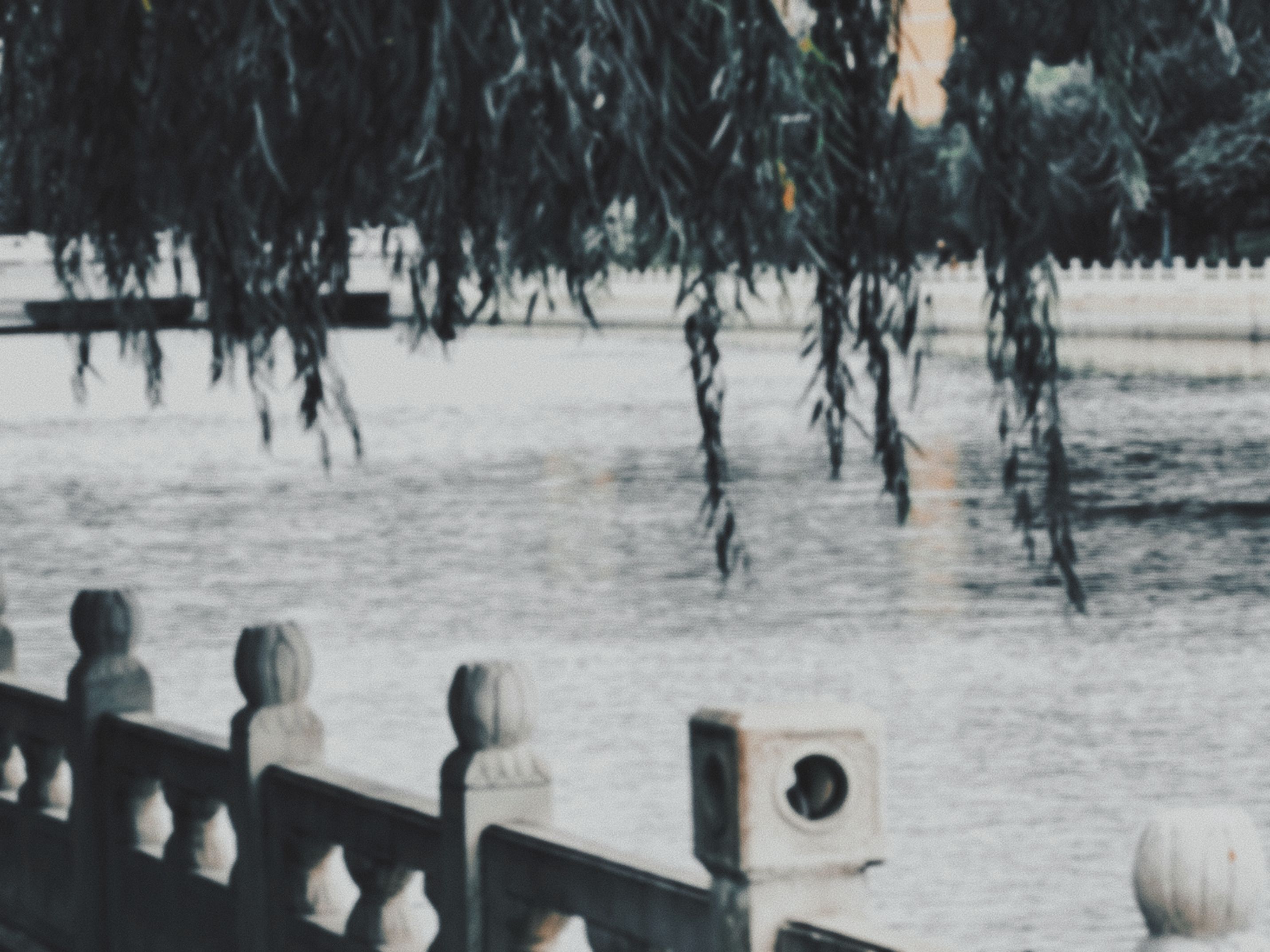 东河景区旅行图片 2