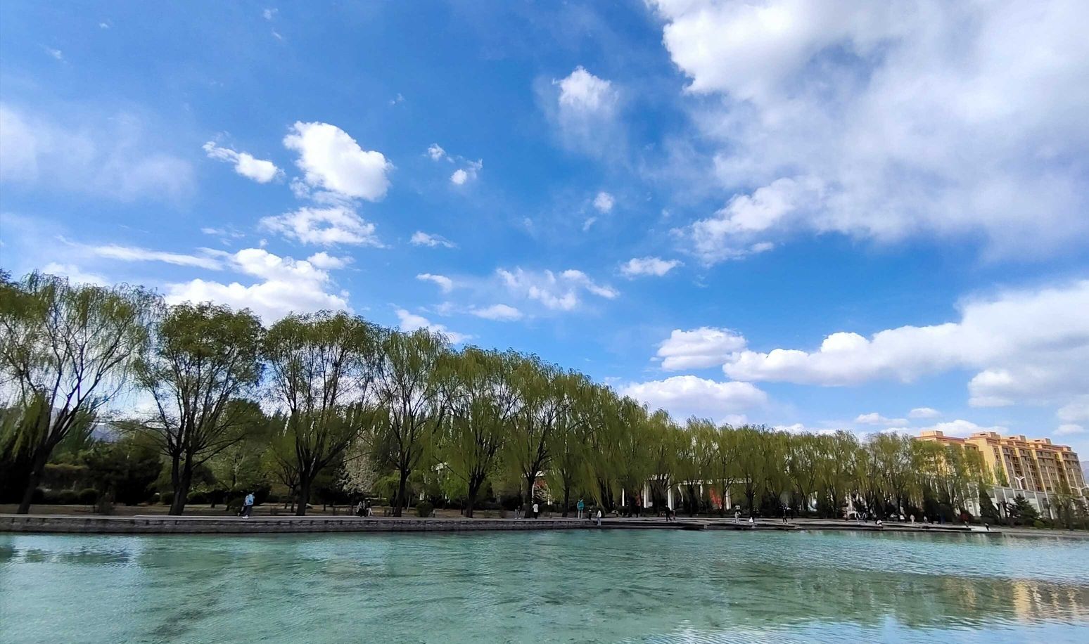 萨拉齐生态公园旅行图片 1
