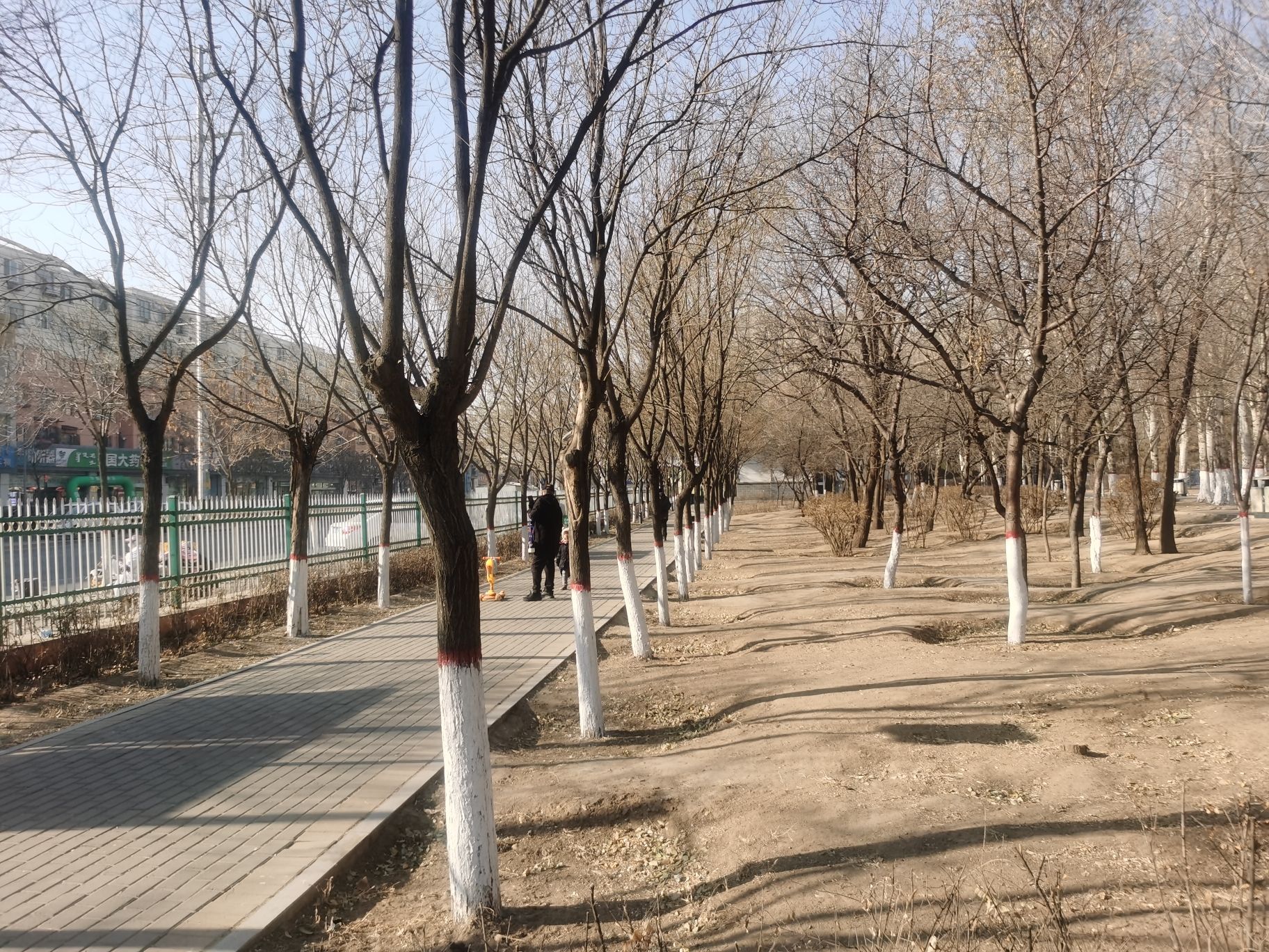八一公园旅行图片 3
