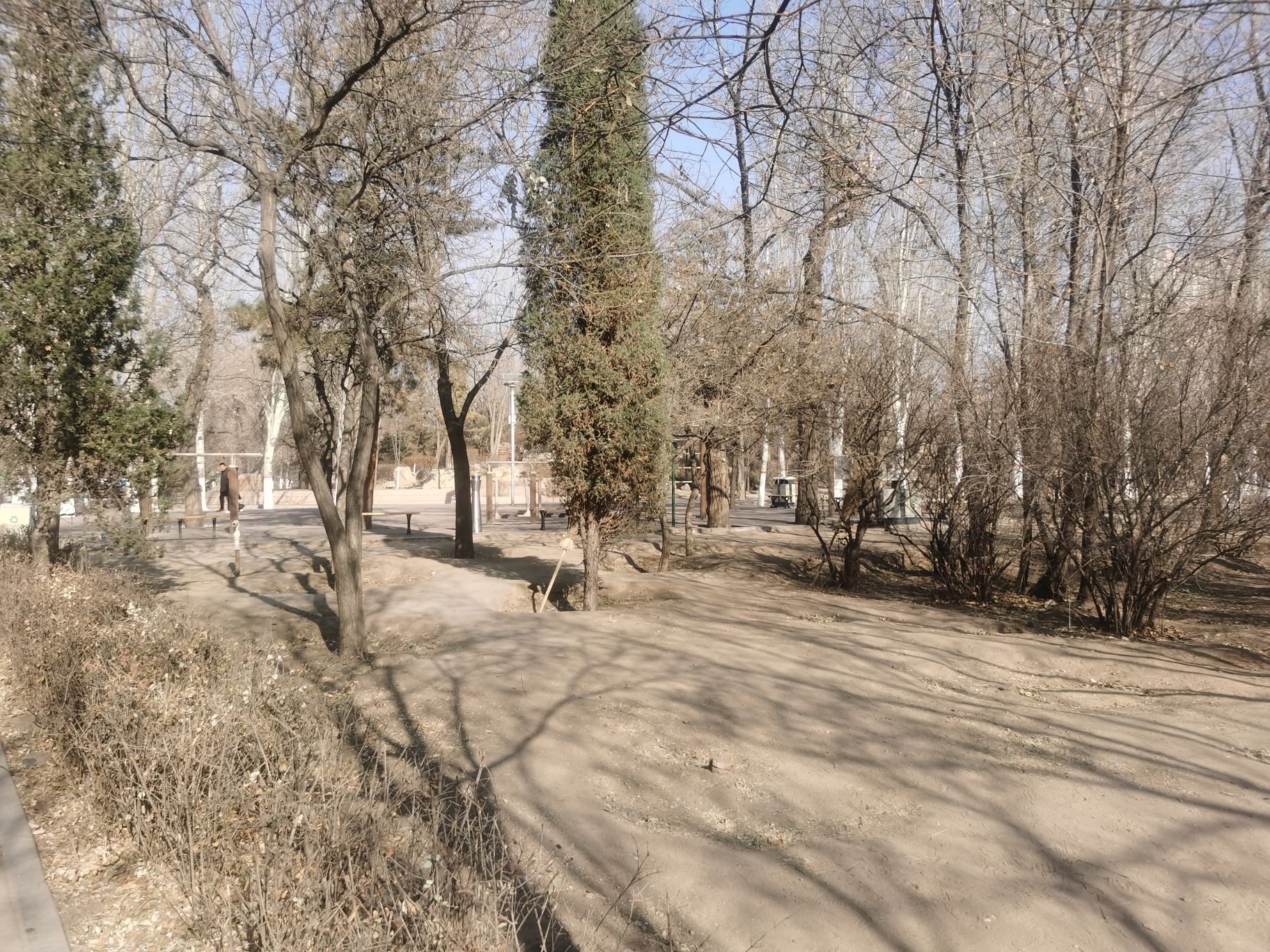 八一公园旅行图片 2