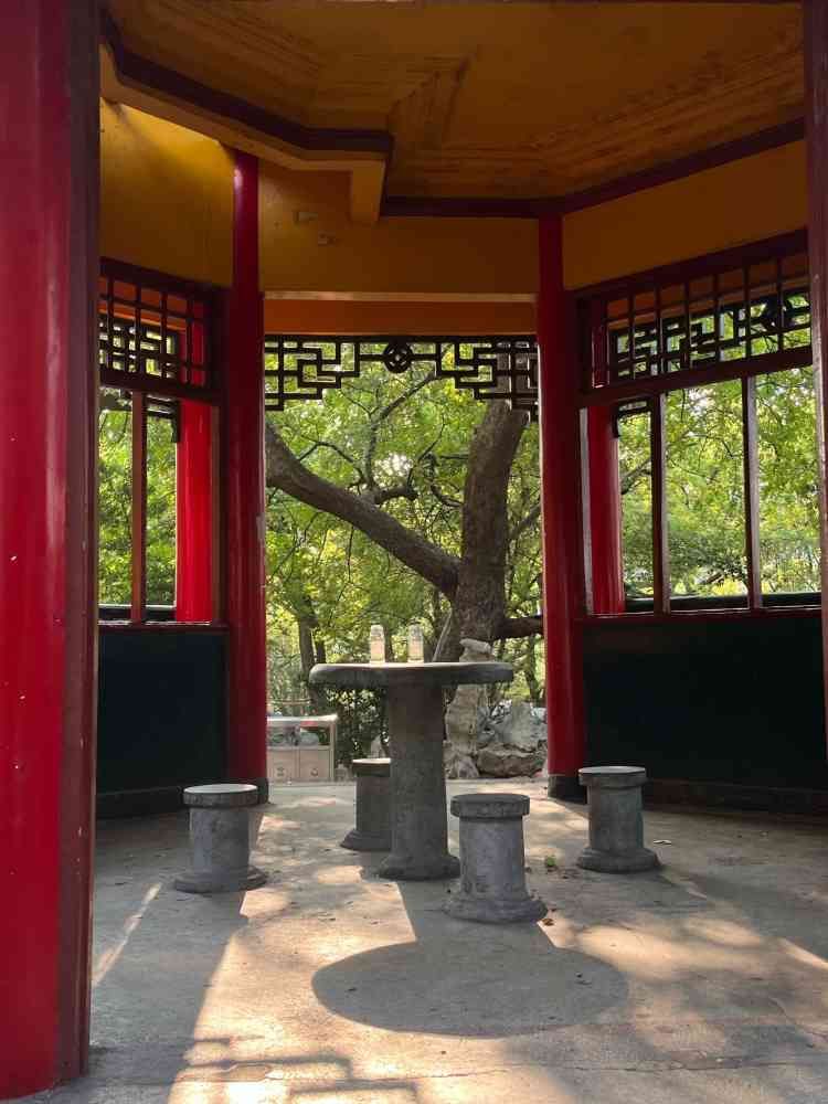 八一公园旅行图片 1