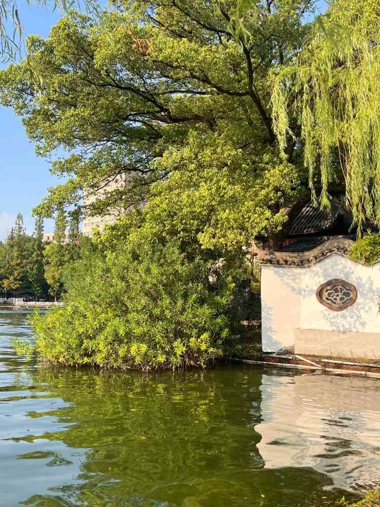 八一公园旅行图片 3