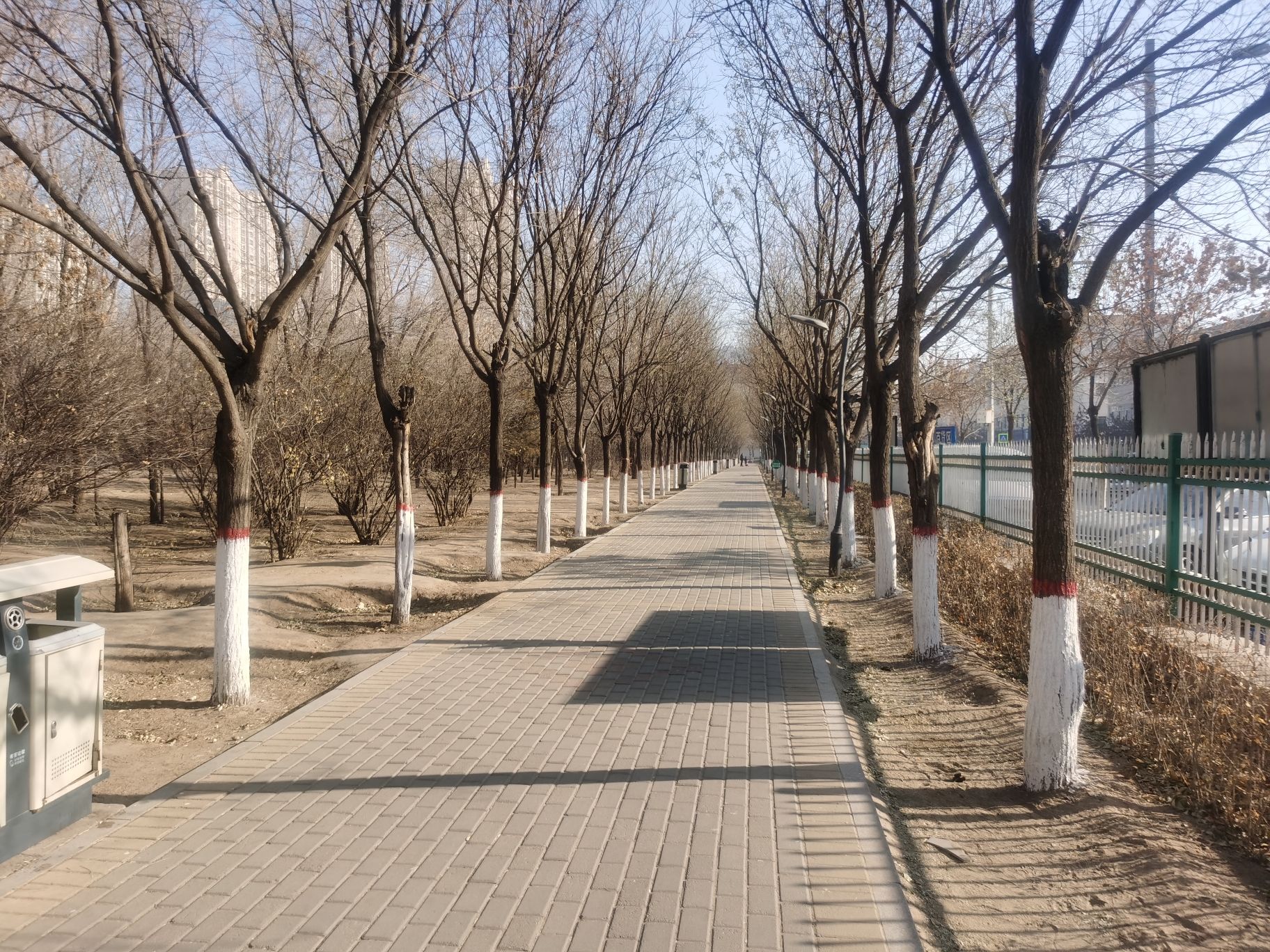 八一公园旅行图片 1