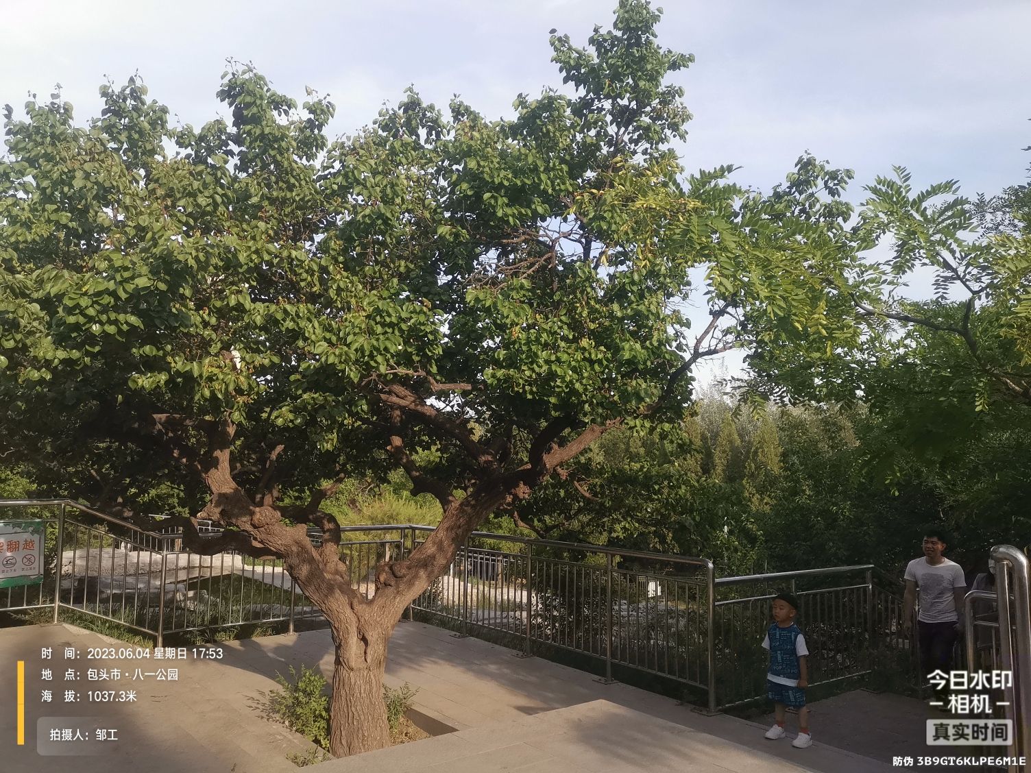 八一公园旅行图片 3
