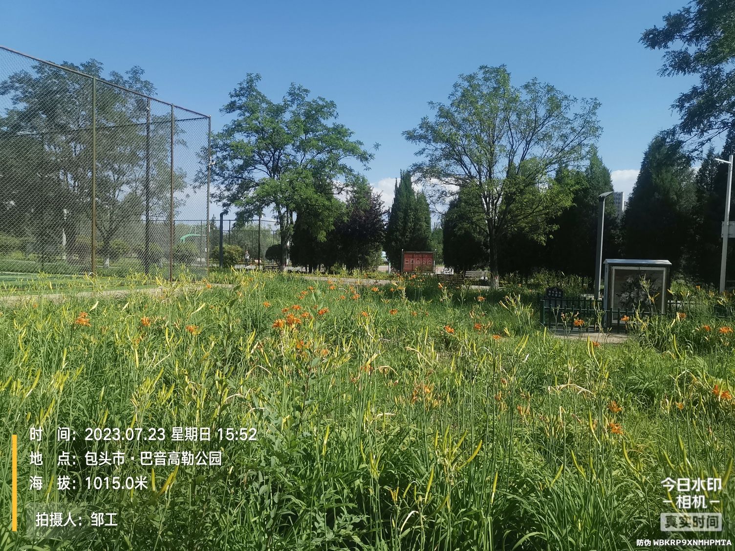 巴音高勒公园旅行图片 1