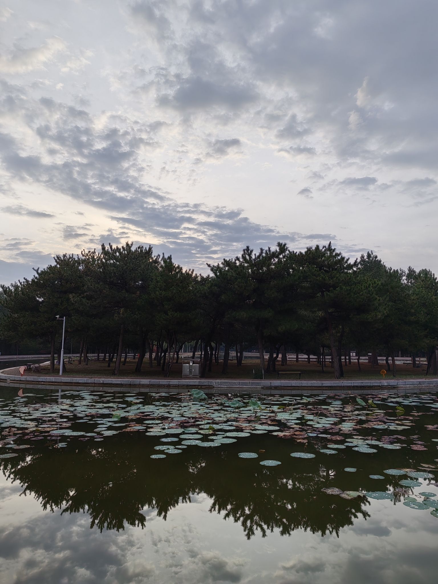 锦林公园旅行图片 1