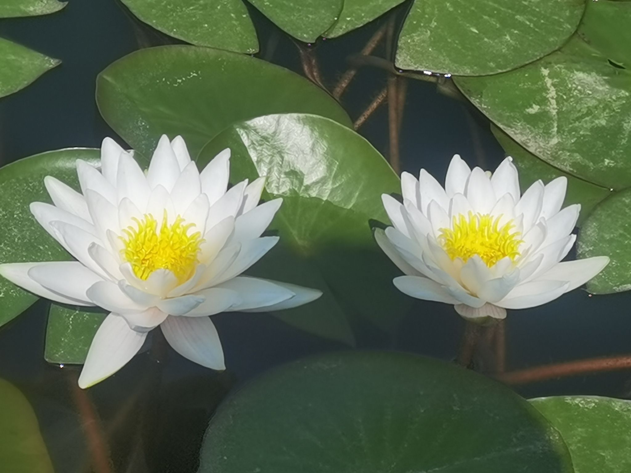 锦林公园旅行图片 3