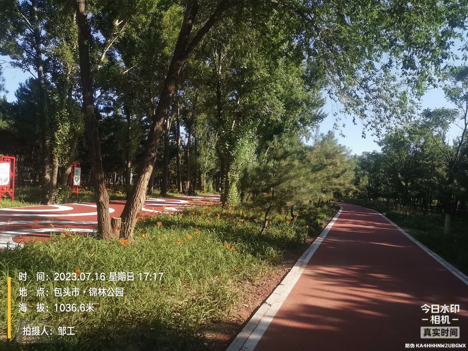 锦林公园旅行图片 1