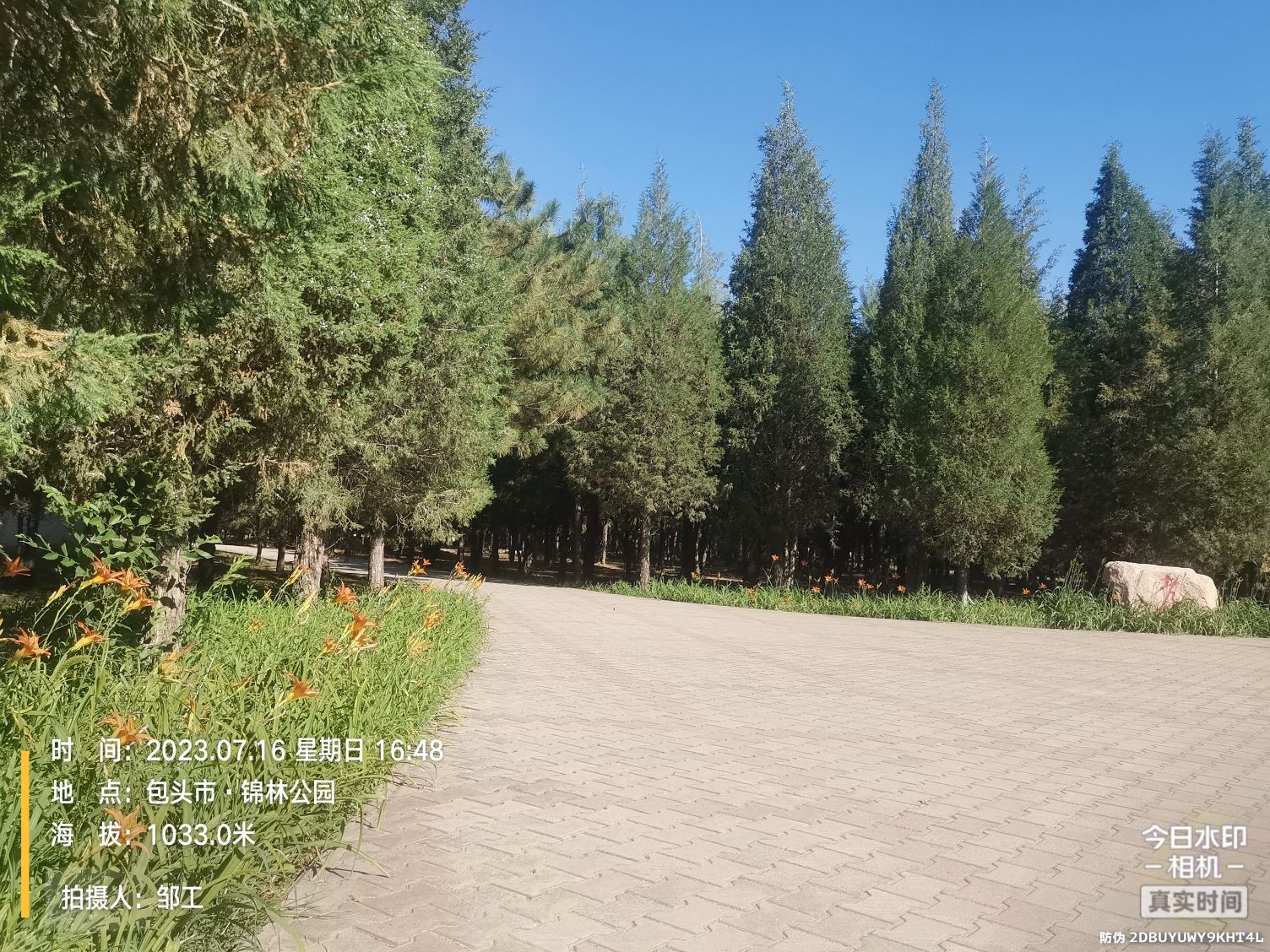 锦林公园旅行图片 1