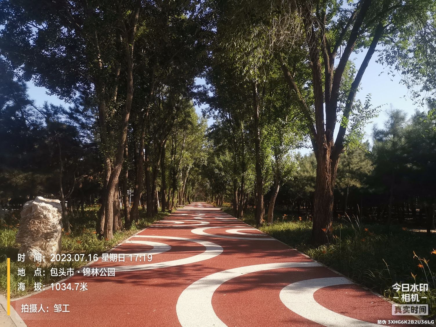 锦林公园旅行图片 3