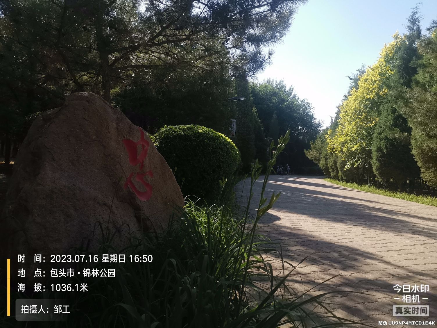 锦林公园旅行图片 2
