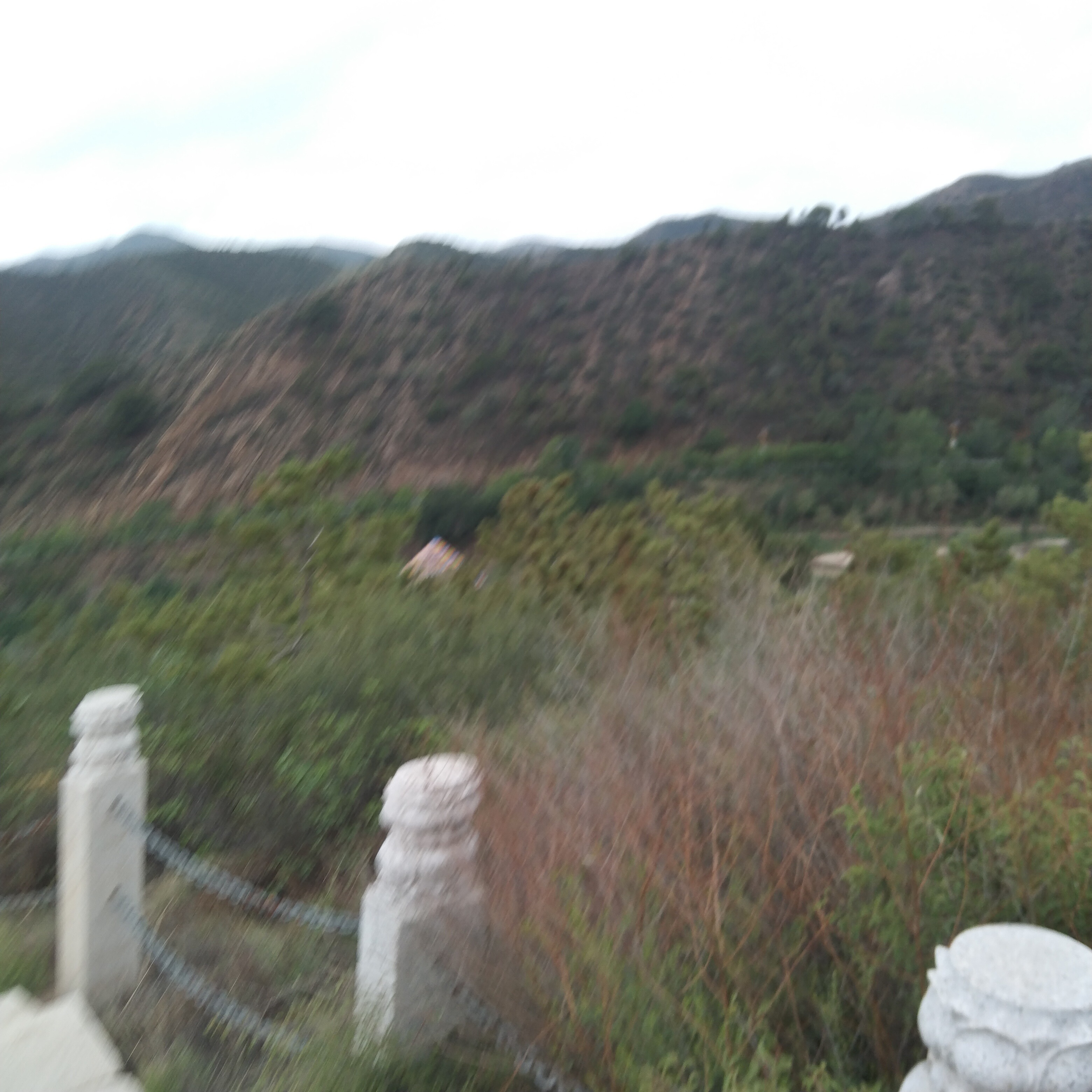 财神庙广场旅行图片 1