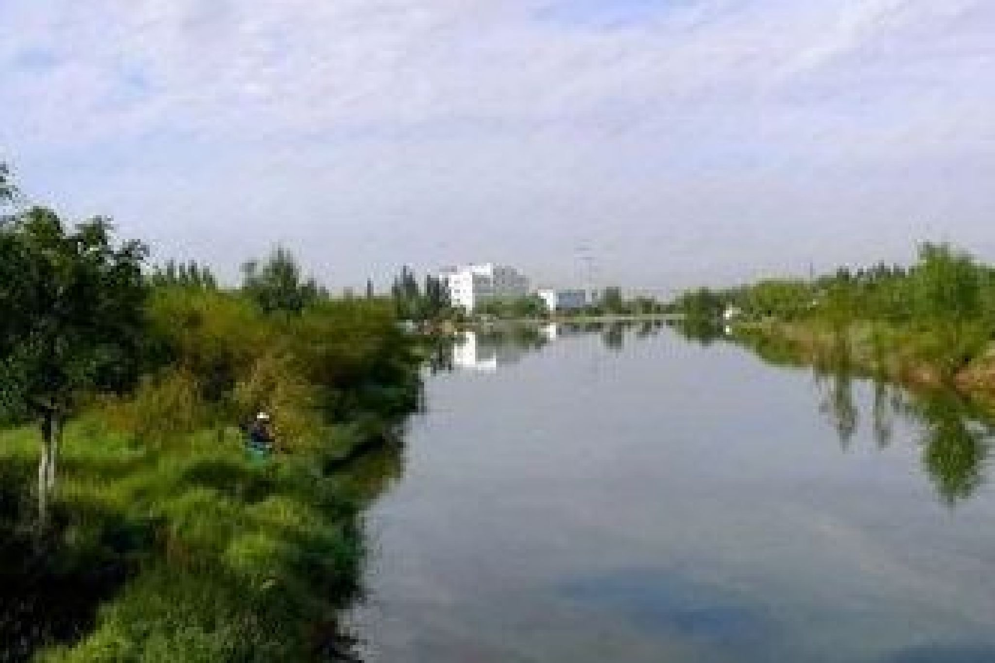 乌海植物园旅行图片 1