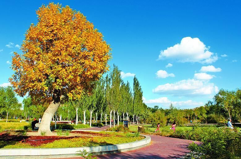 乌海植物园
