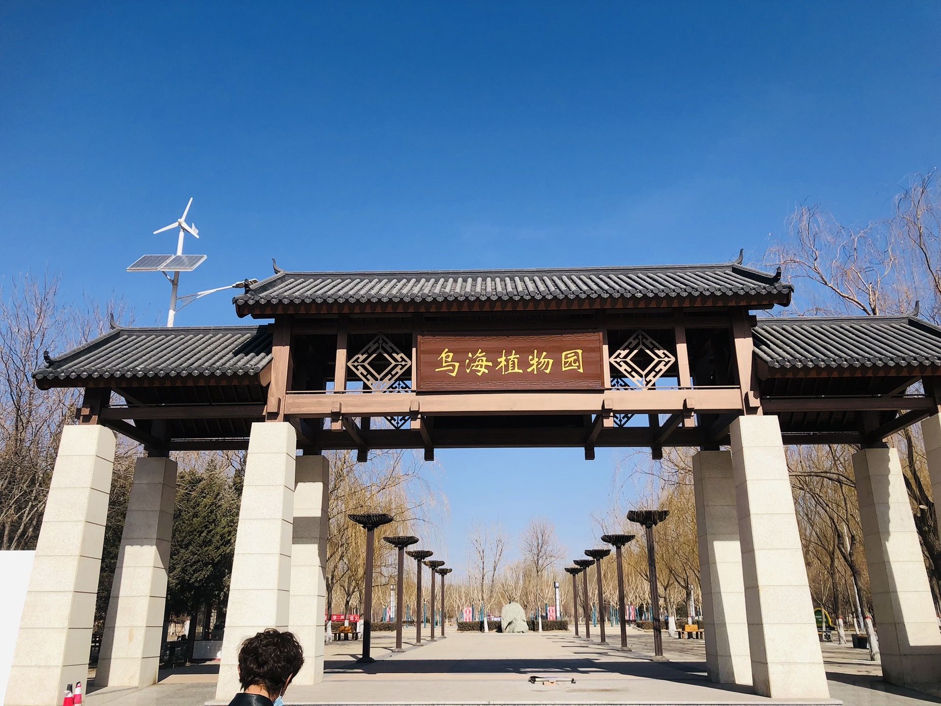 乌海植物园