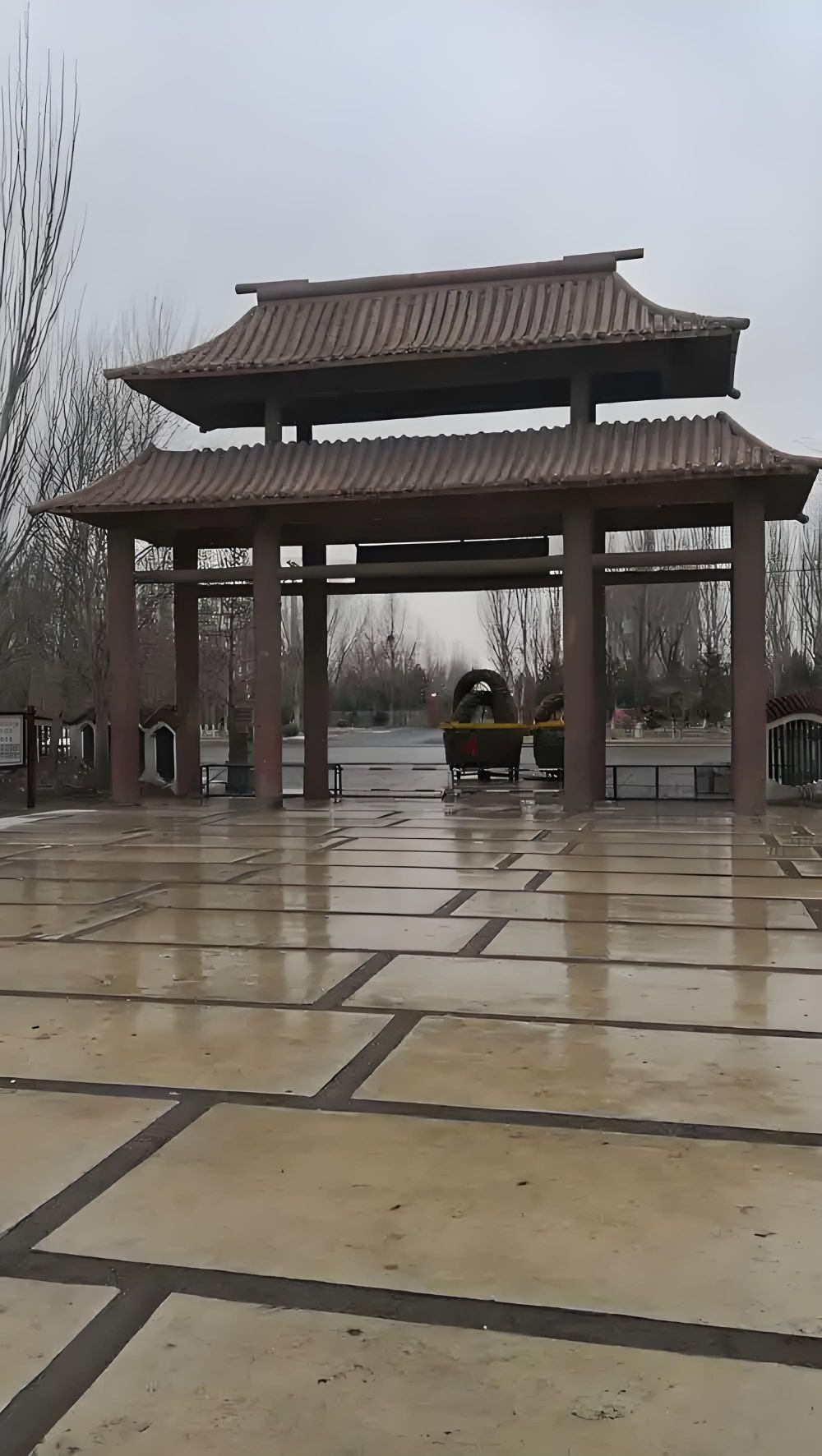 乌海植物园旅行图片 1