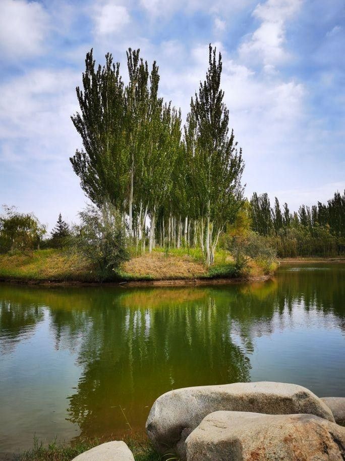 乌海植物园旅行图片 2