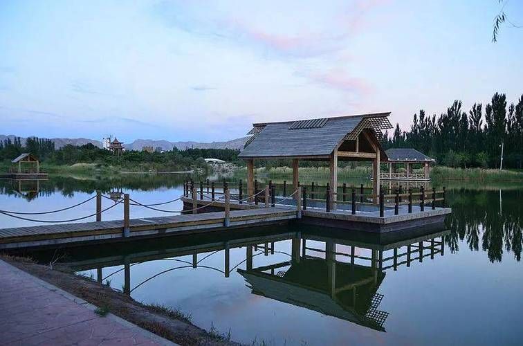 乌海植物园旅行图片 3