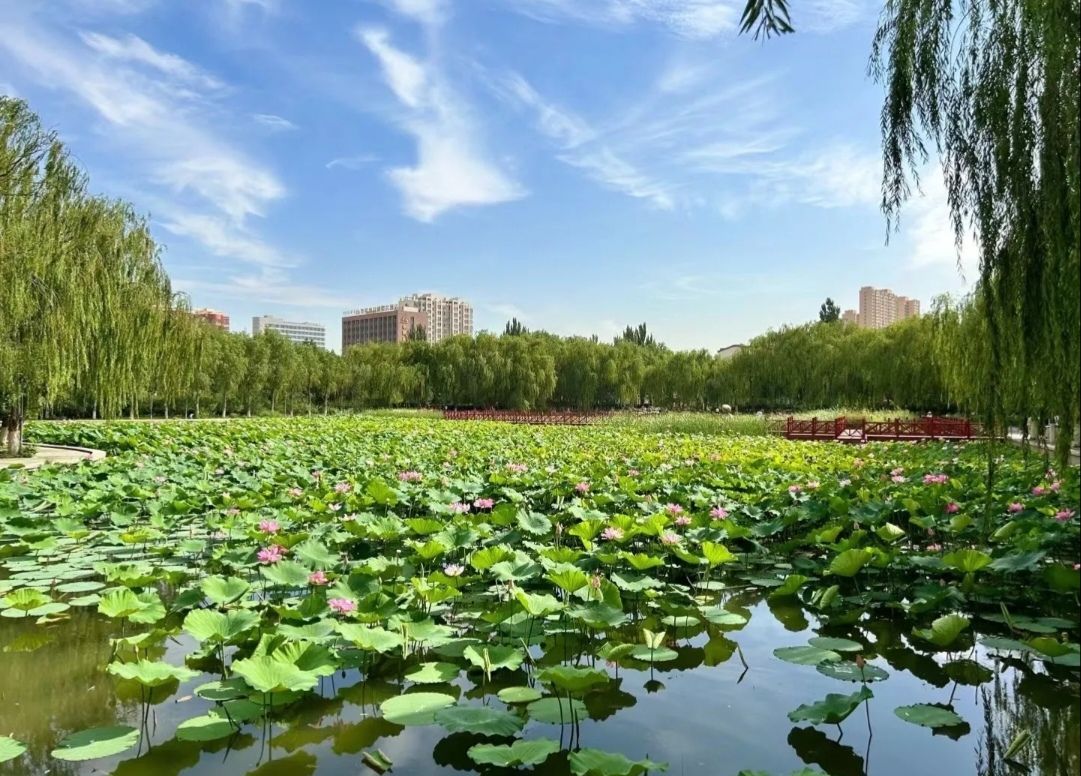 人民公园旅行图片 3