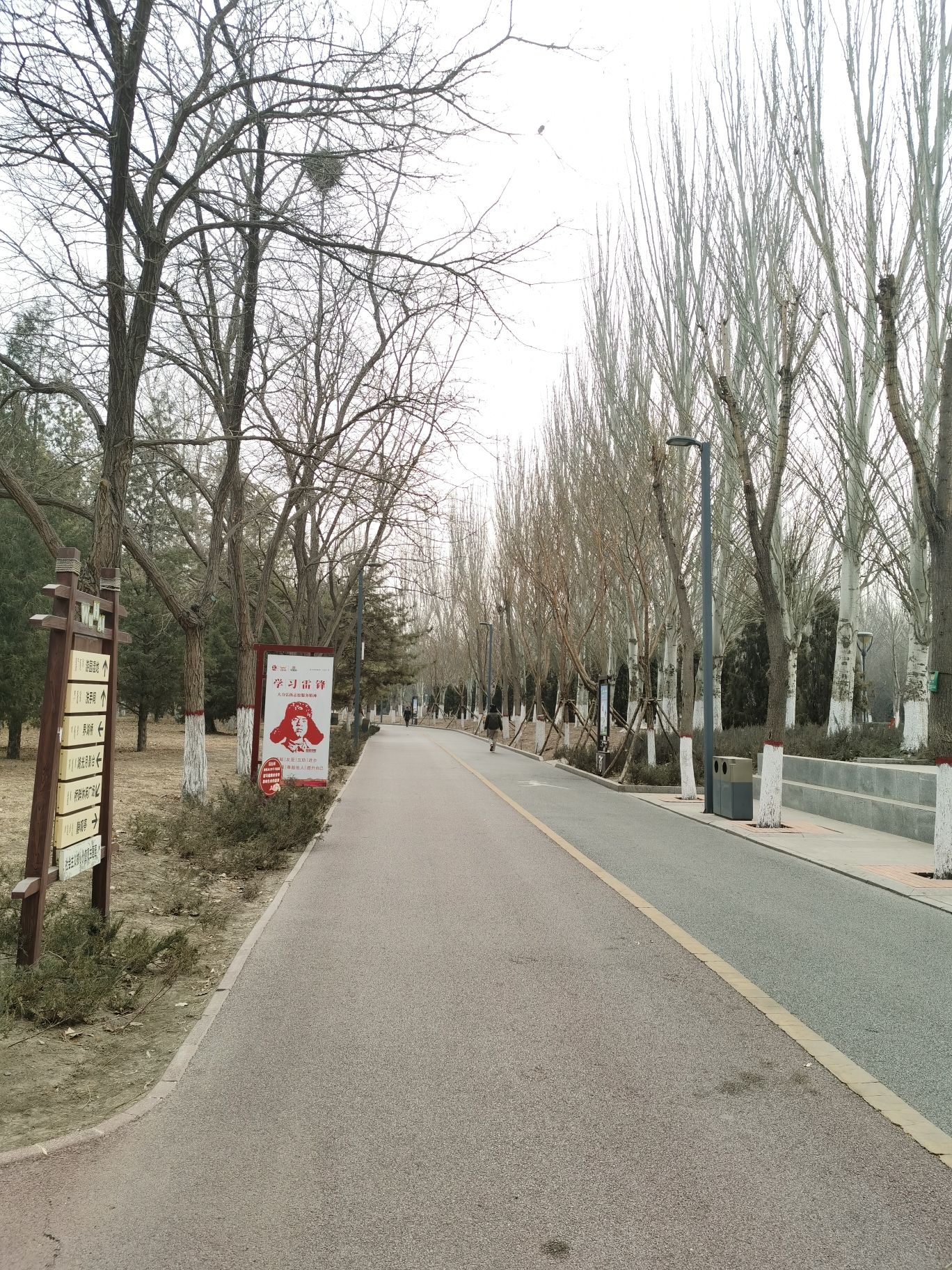 人民公园旅行图片 2