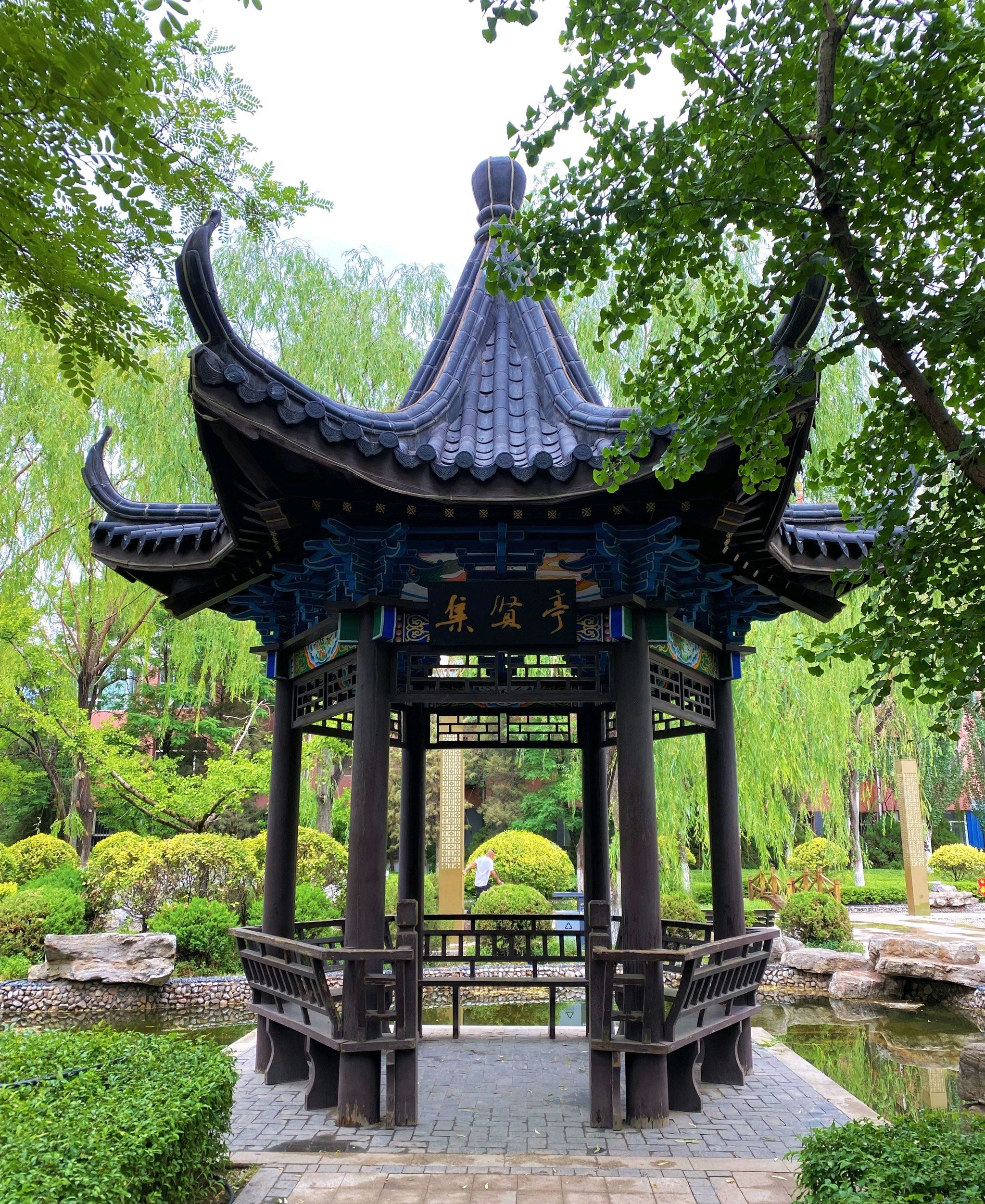 人民公园旅行图片 1