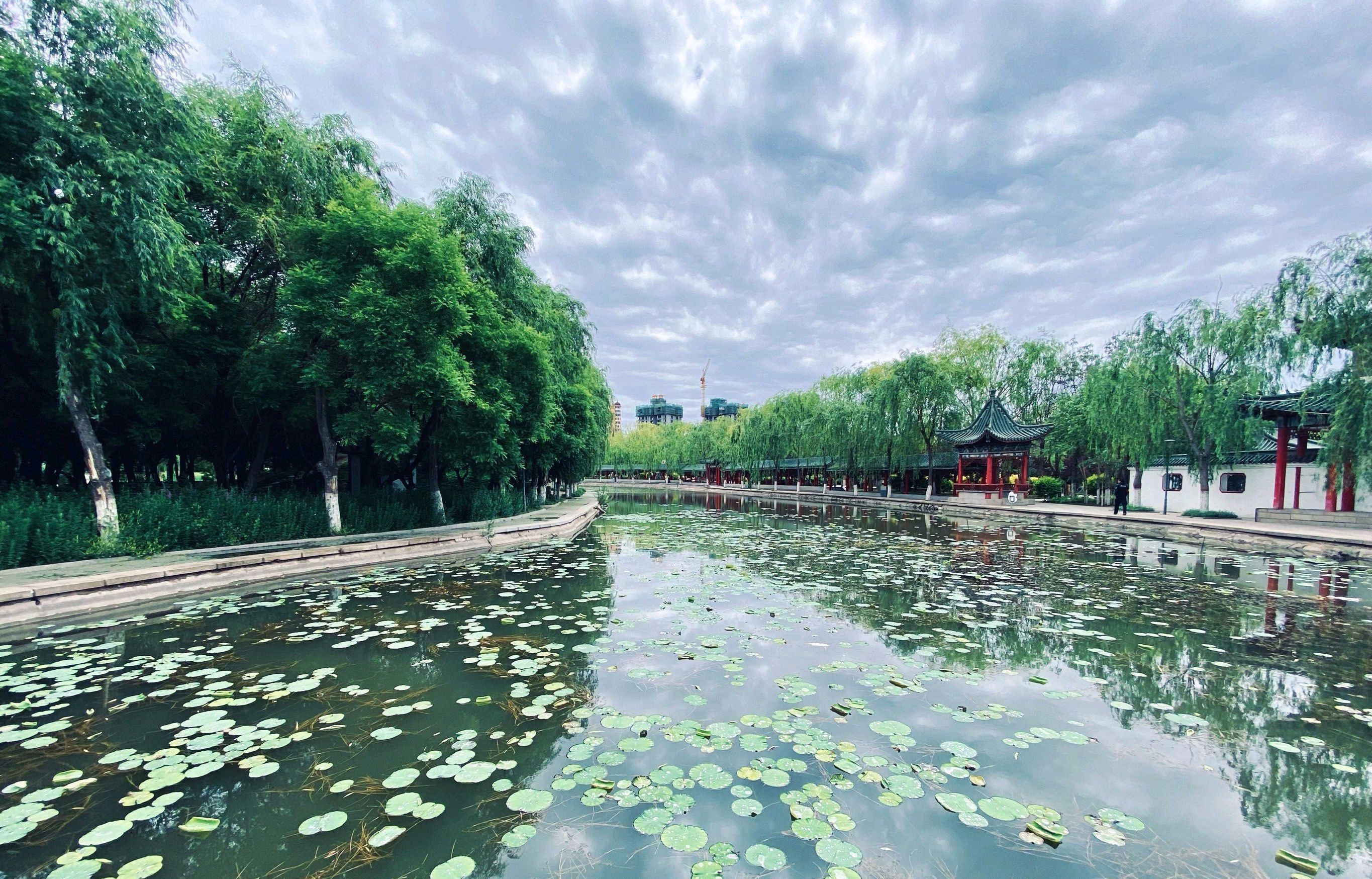 人民公园旅行图片 3