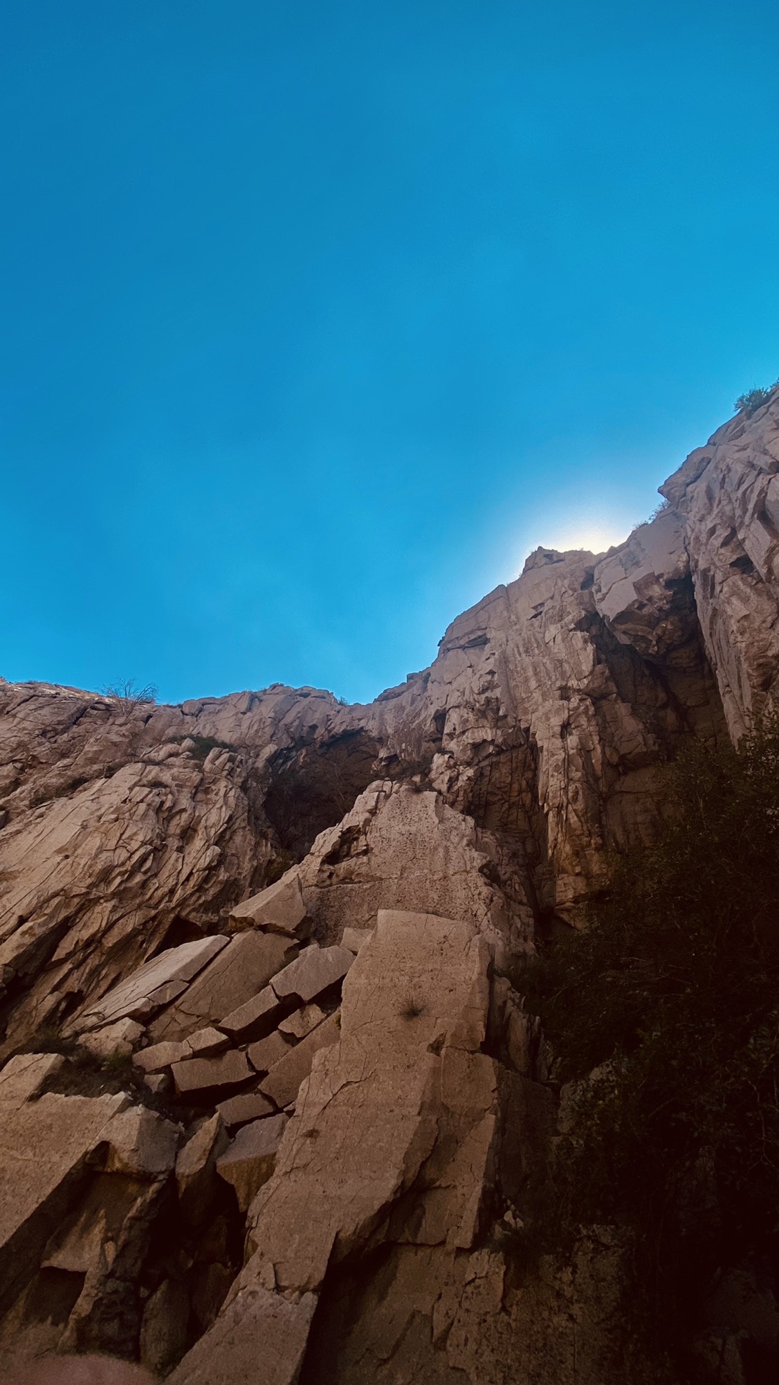 召烧沟岩画遗址保护大厅(暂停开放)旅行图片 2