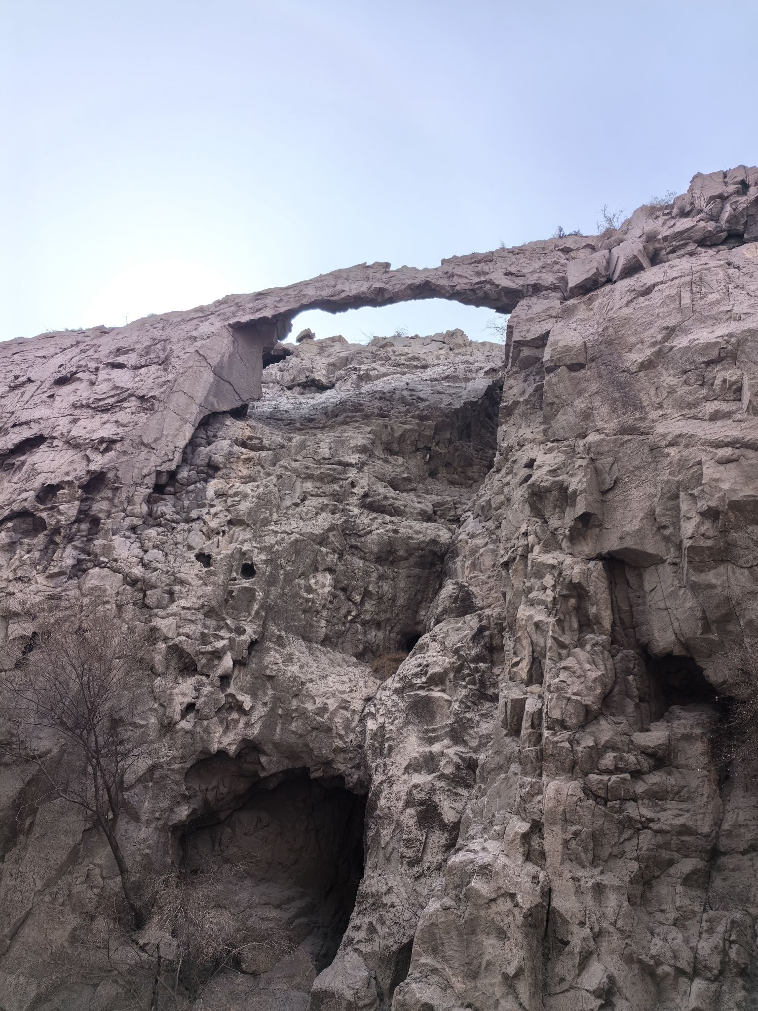 召烧沟岩画遗址保护大厅(暂停开放)旅行图片 2