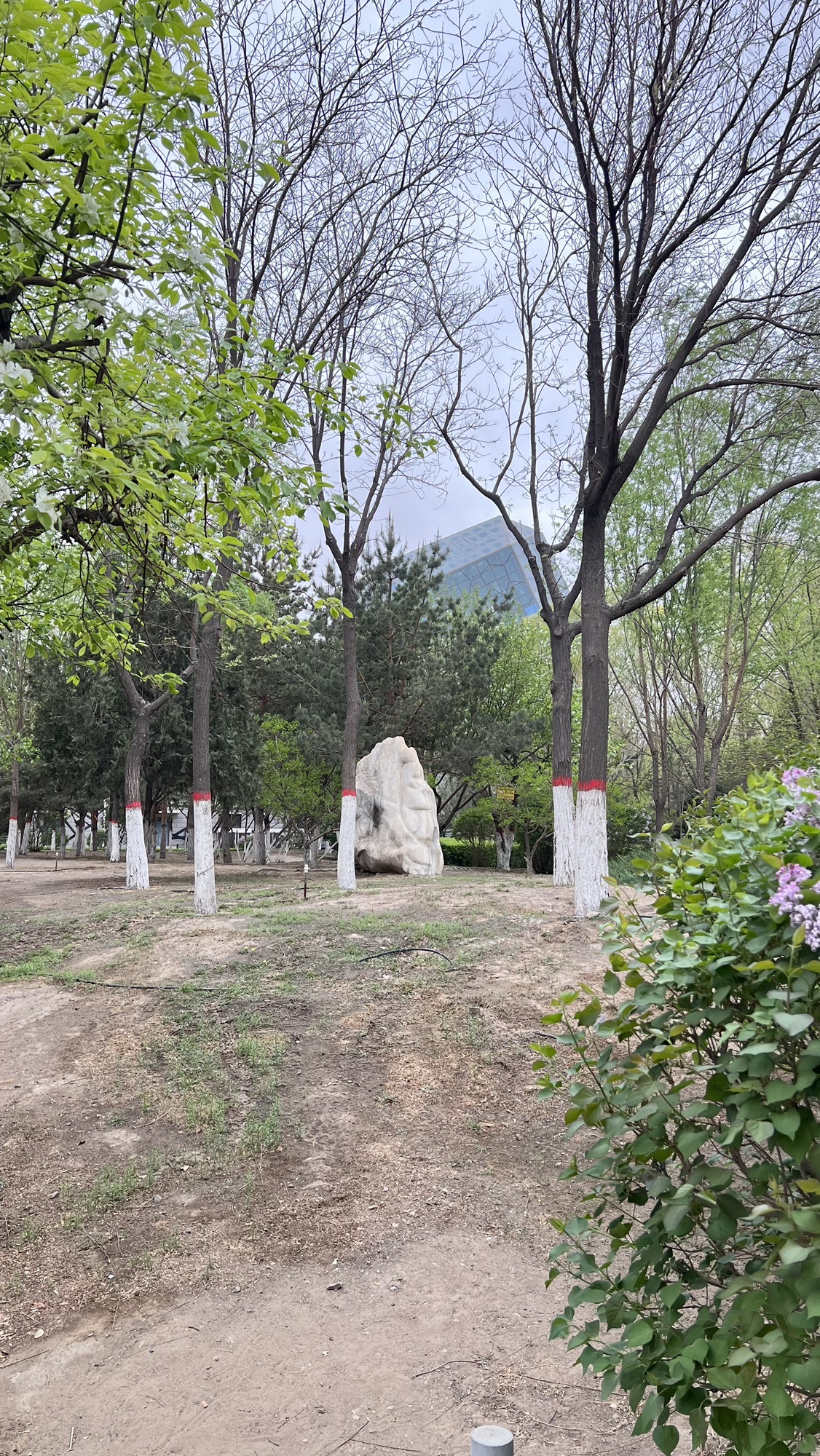神华墨玉广场旅行图片 3