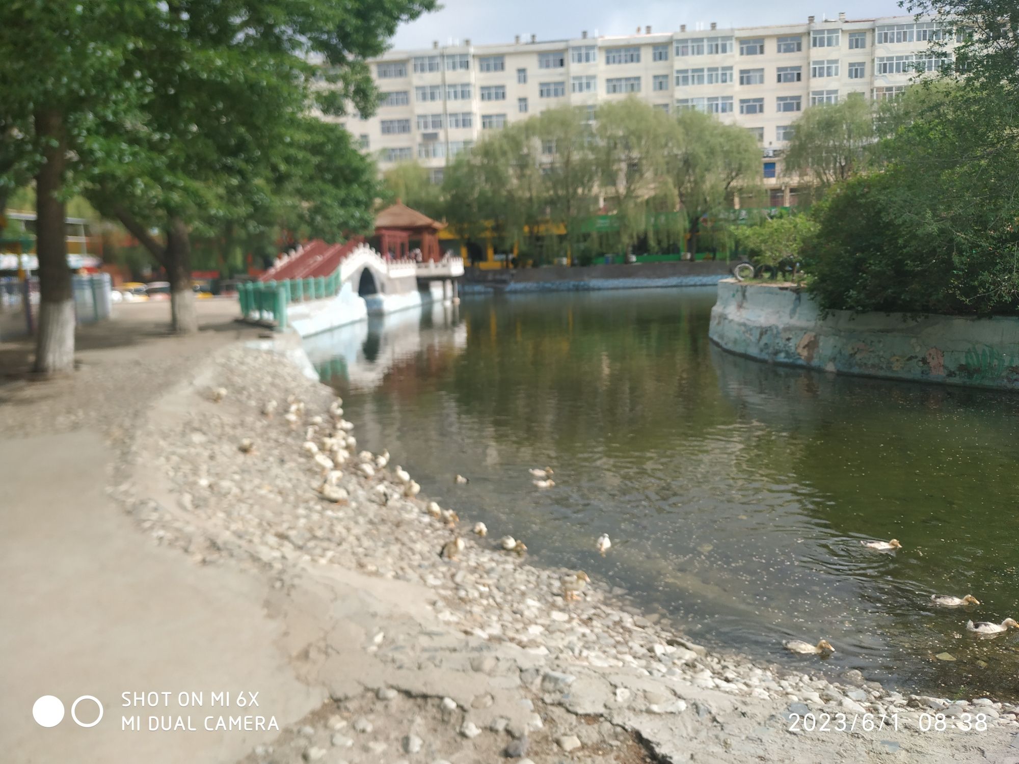 人民公园旅行图片 3