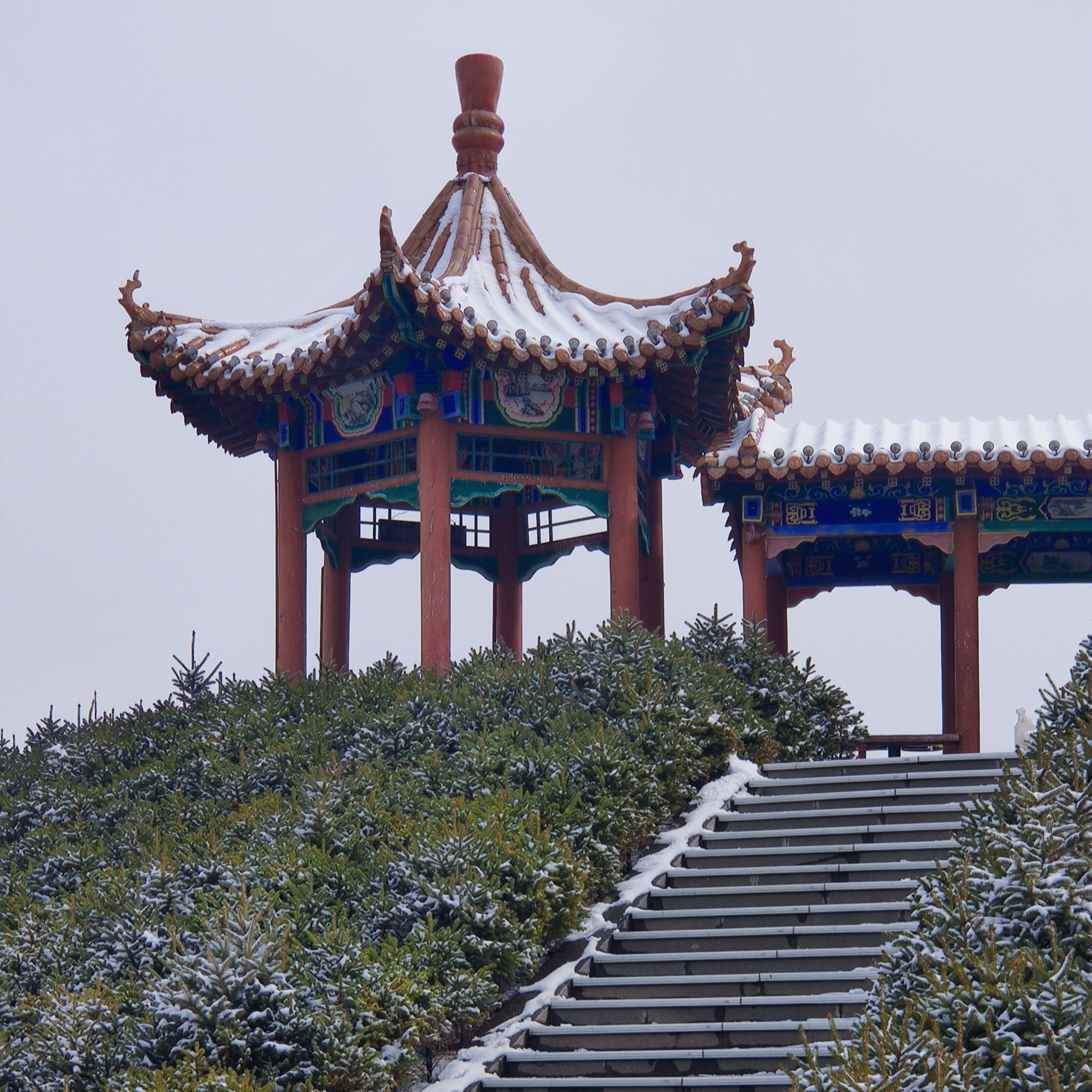 人民公园旅行图片 1