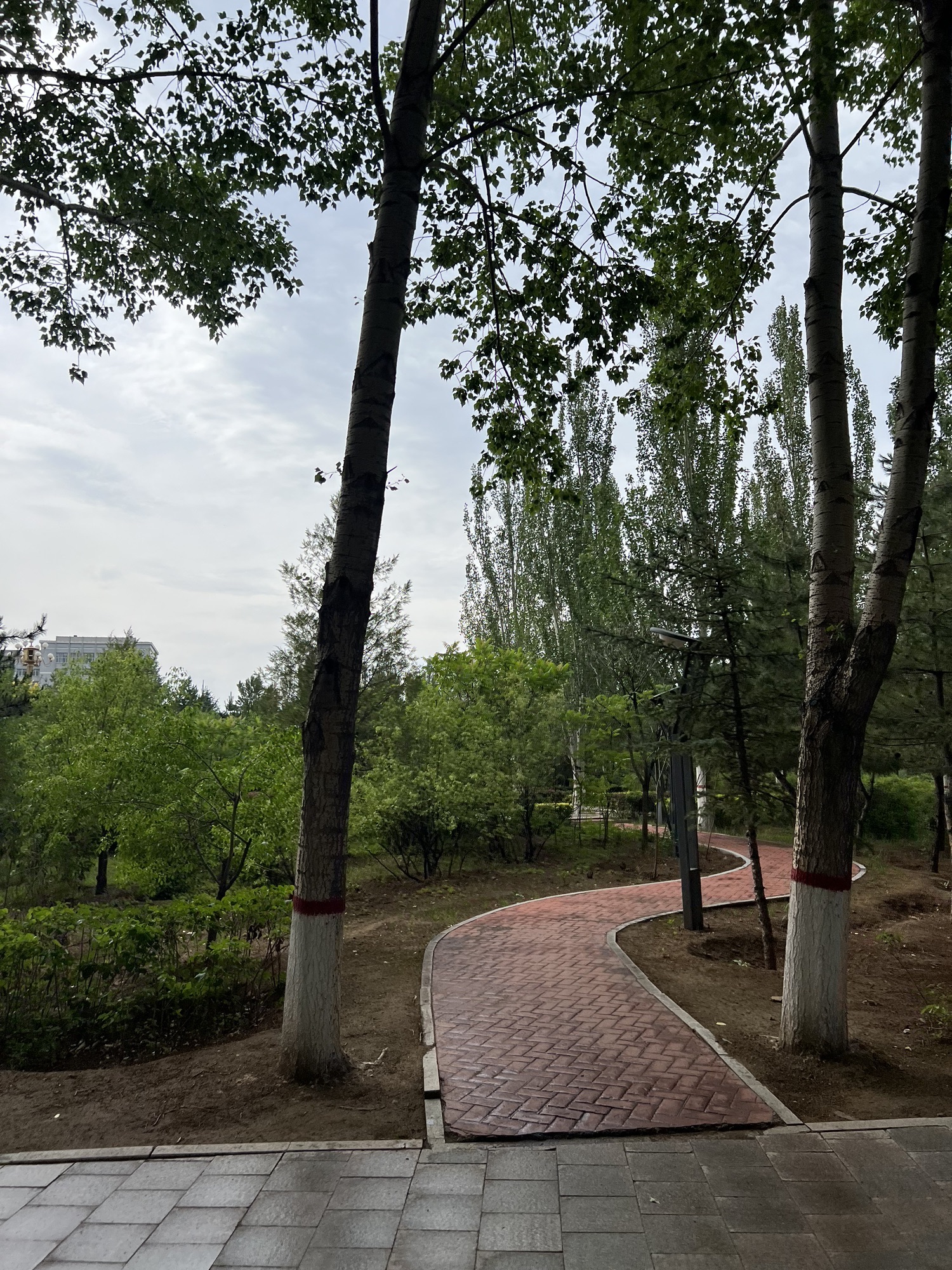 乌兰察布广场旅行图片 1