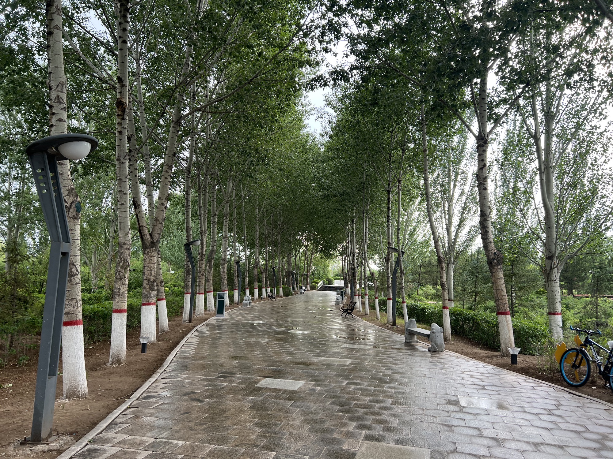 乌兰察布广场旅行图片 3