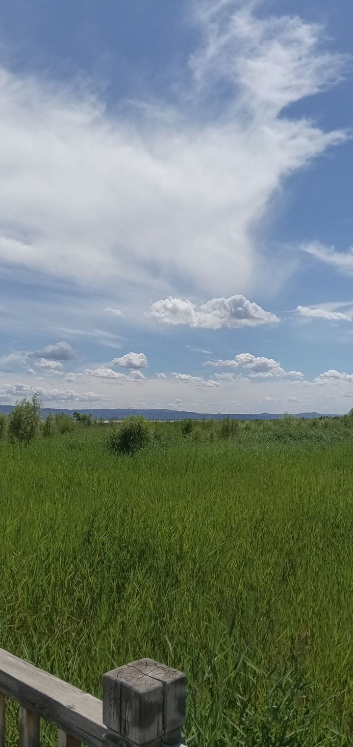 凉城岱海旅游区(暂停开放)旅行图片 2