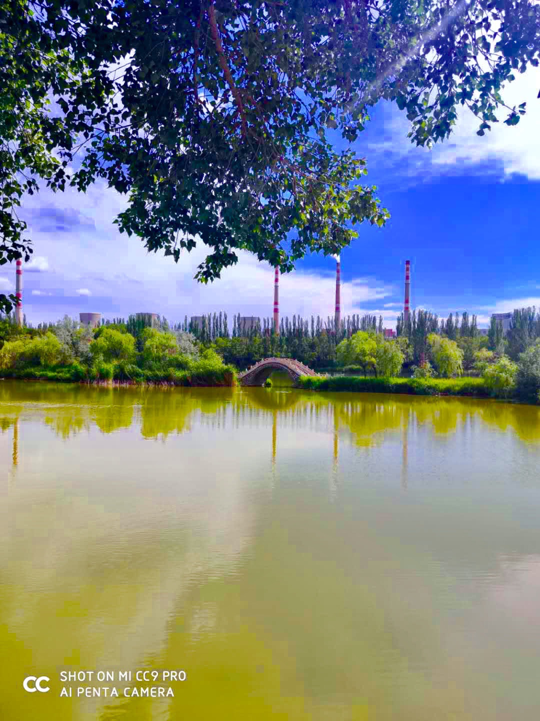 鱼儿湾公园旅行图片 1