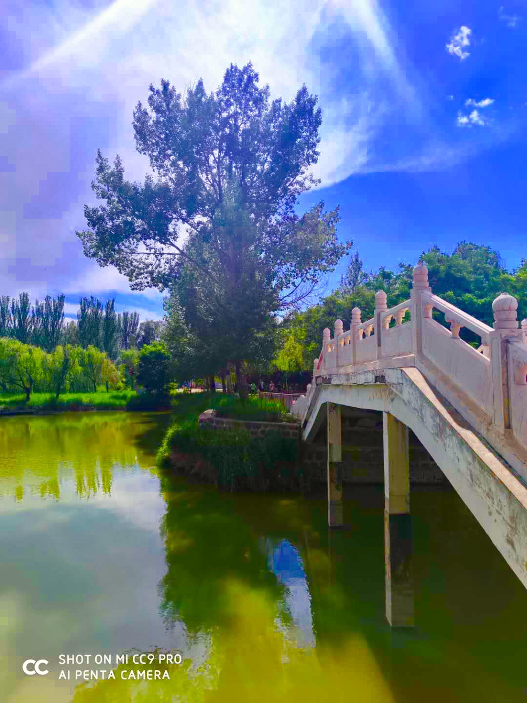 鱼儿湾公园旅行图片 3