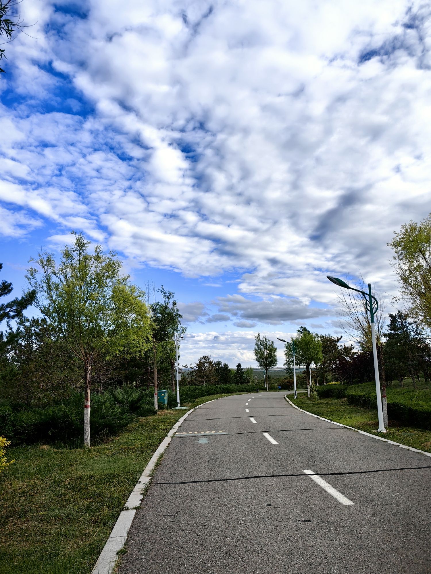 乌兰花公园旅行图片 2