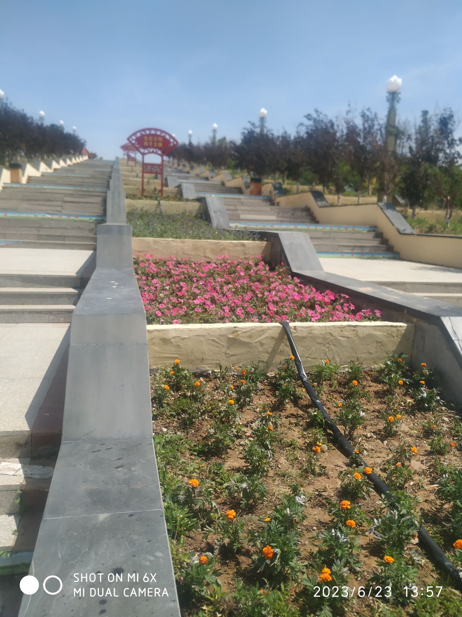 乌兰花公园旅行图片 2