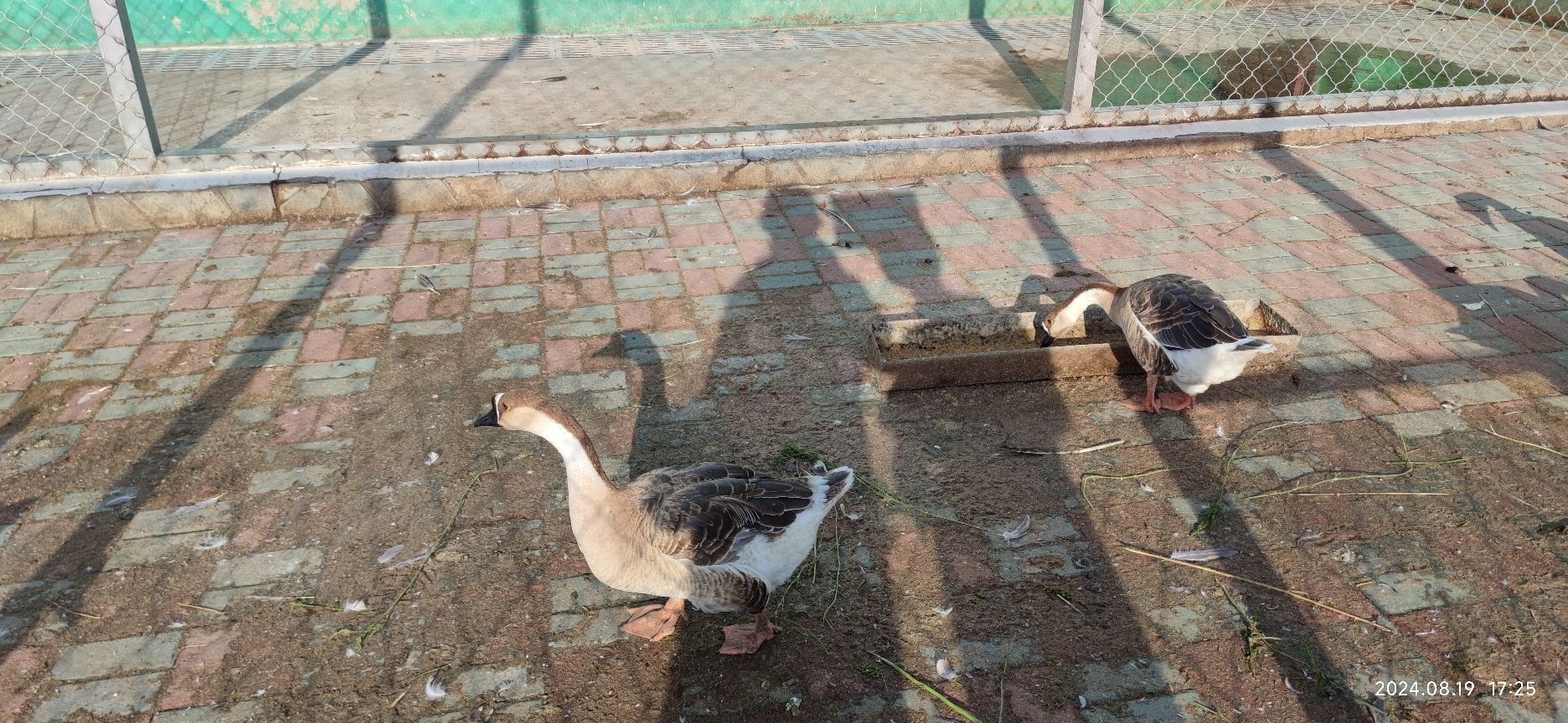 九曲山生态园旅行图片 1