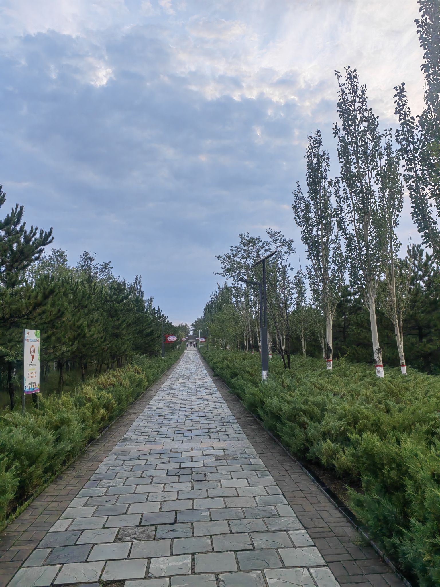 黄花梁生态公园旅行图片 2