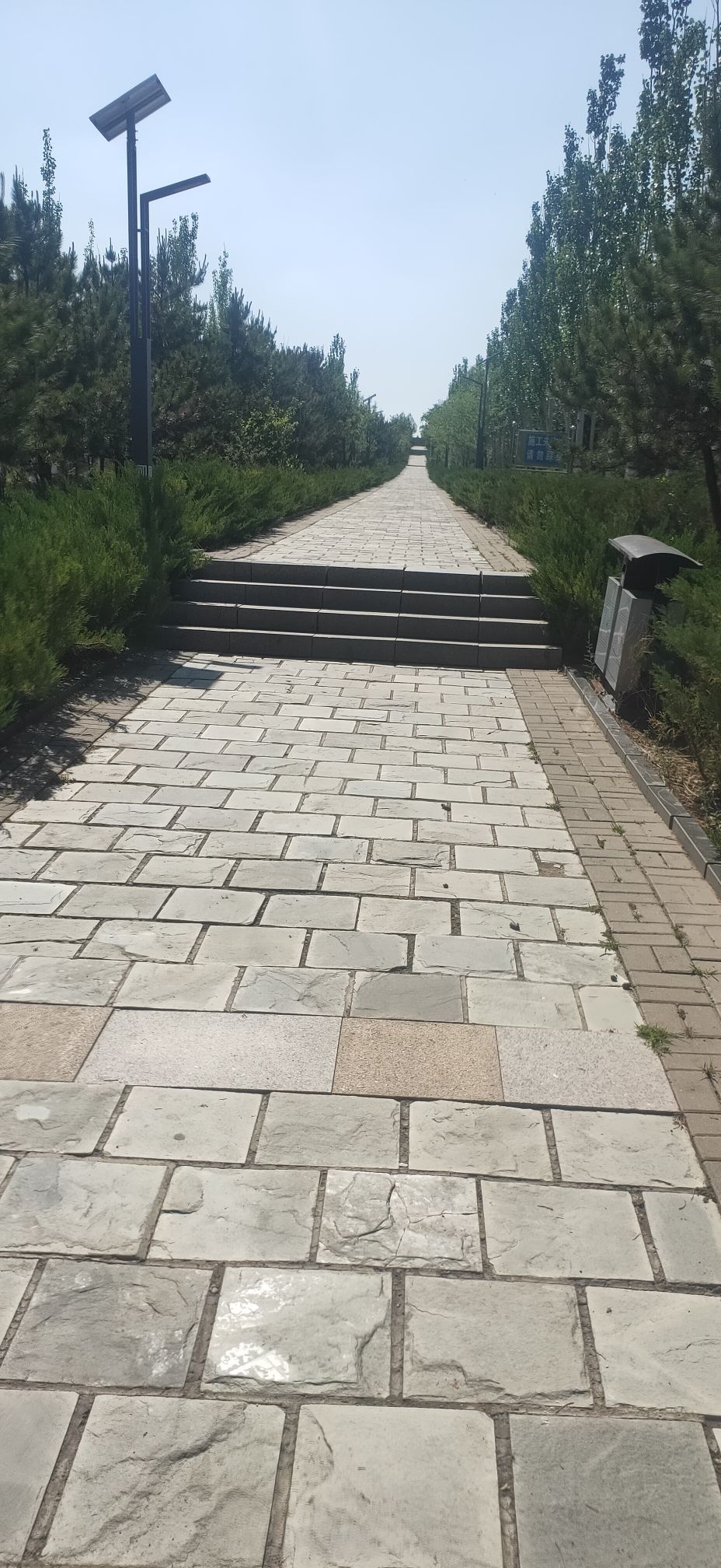 黄花梁生态公园旅行图片 2