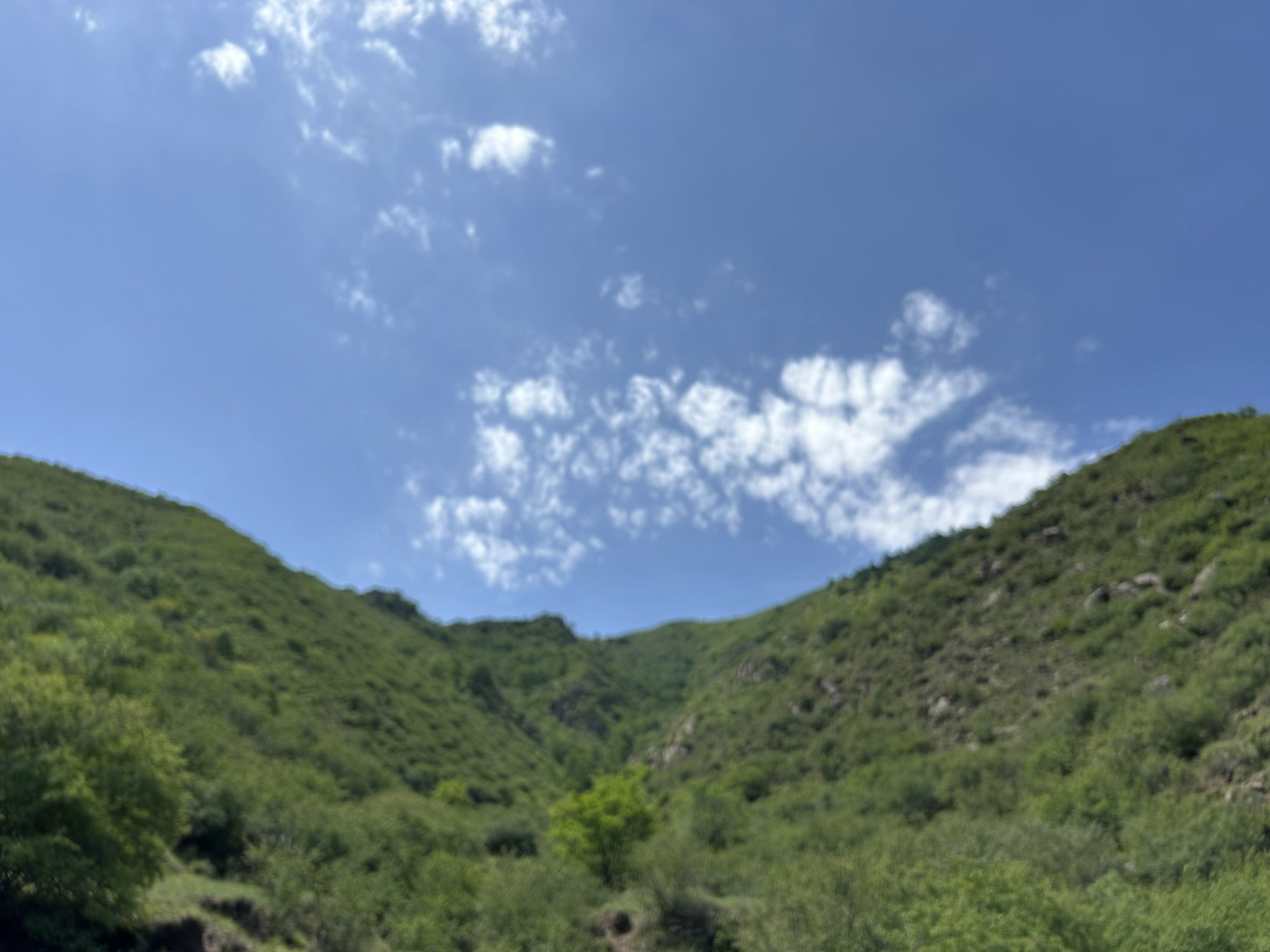 二龙什台森林公园(暂停开放)旅行图片 1