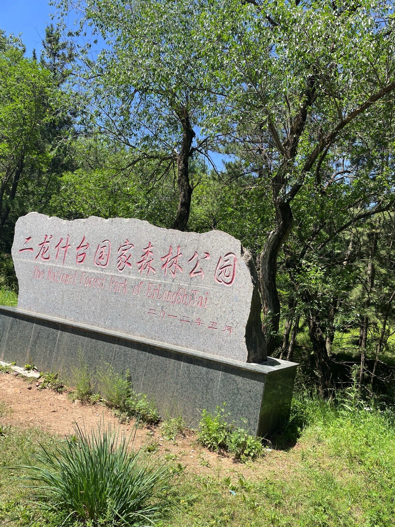 二龙什台森林公园(暂停开放)旅行图片 1