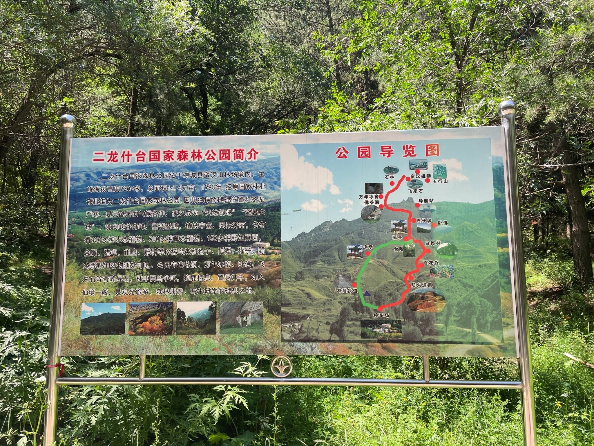 二龙什台森林公园(暂停开放)旅行图片 2
