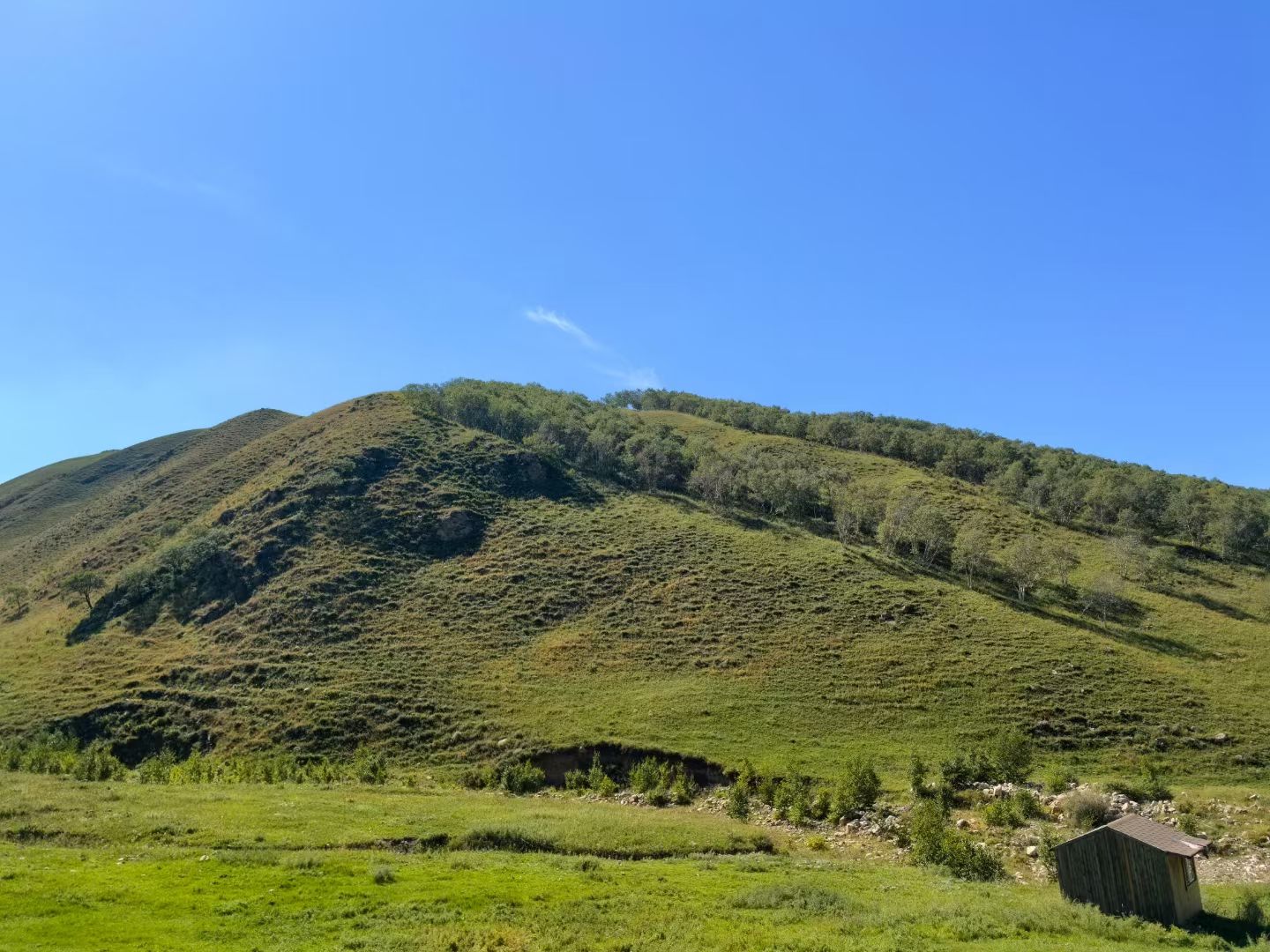 黄花沟草原旅游度假区(暂停开放)旅行图片 2