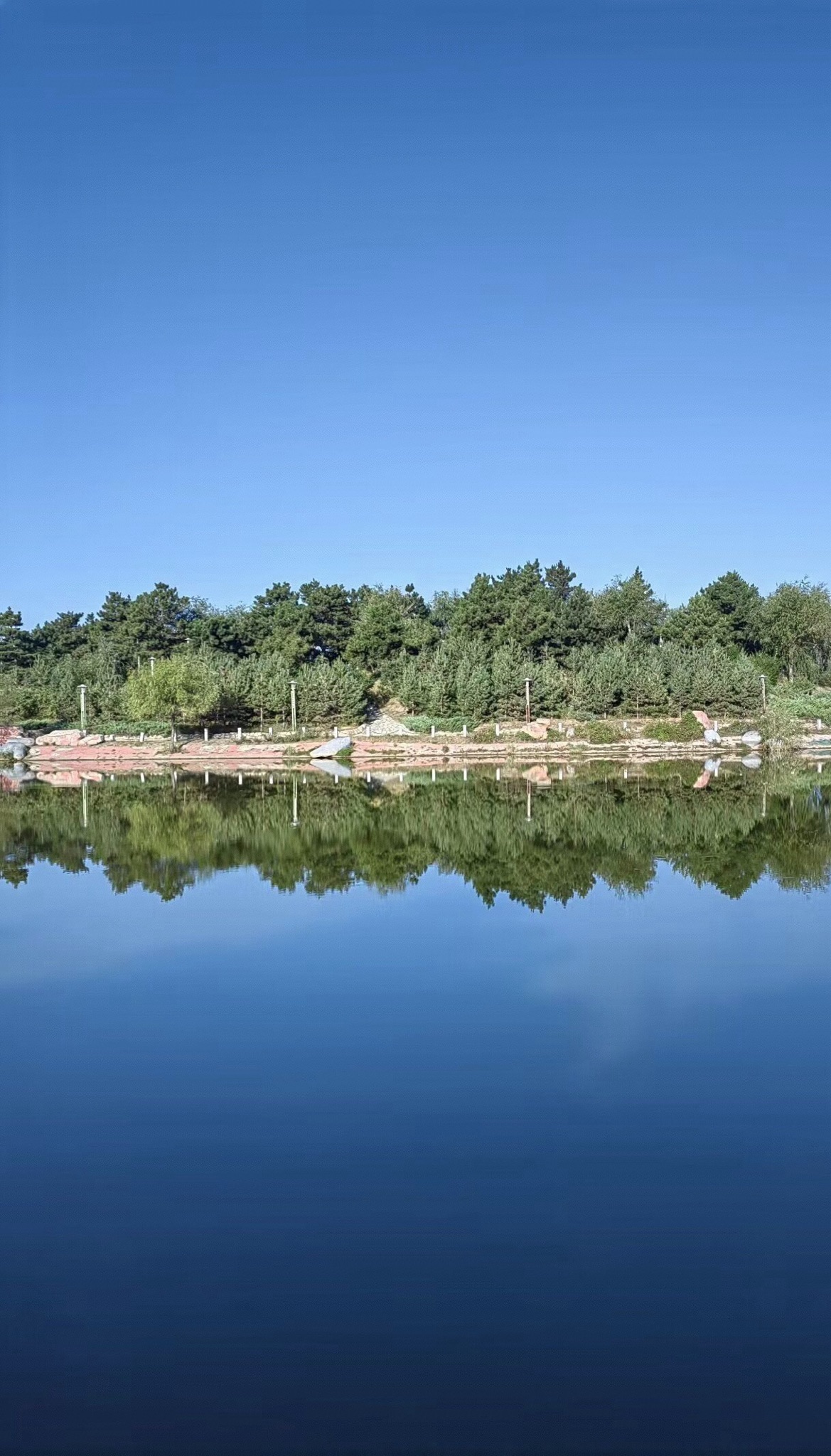 通辽森林公园旅行图片 1